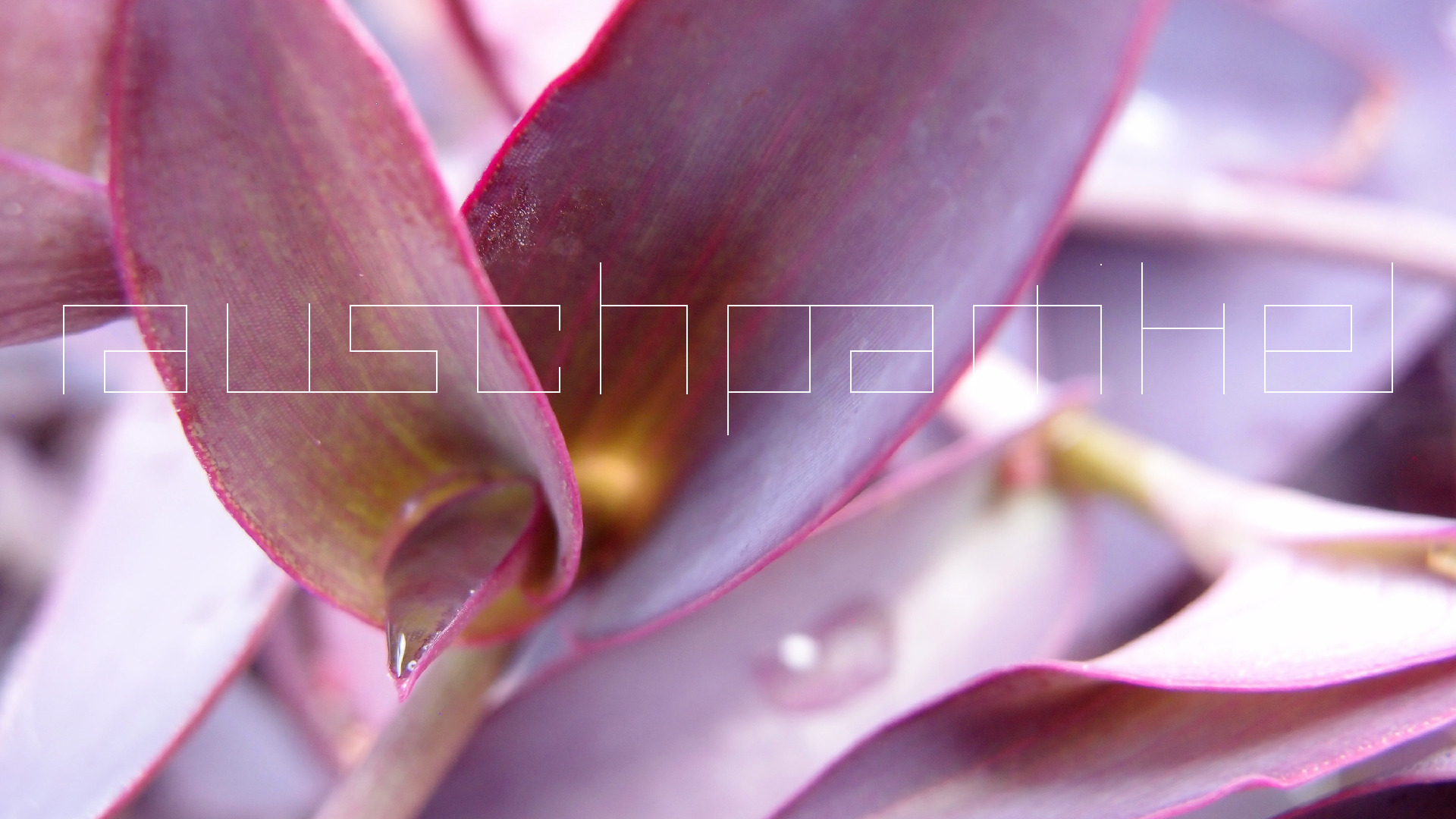 2022-04-17 Wind auf dem Meer (Audio, Foto, Video)