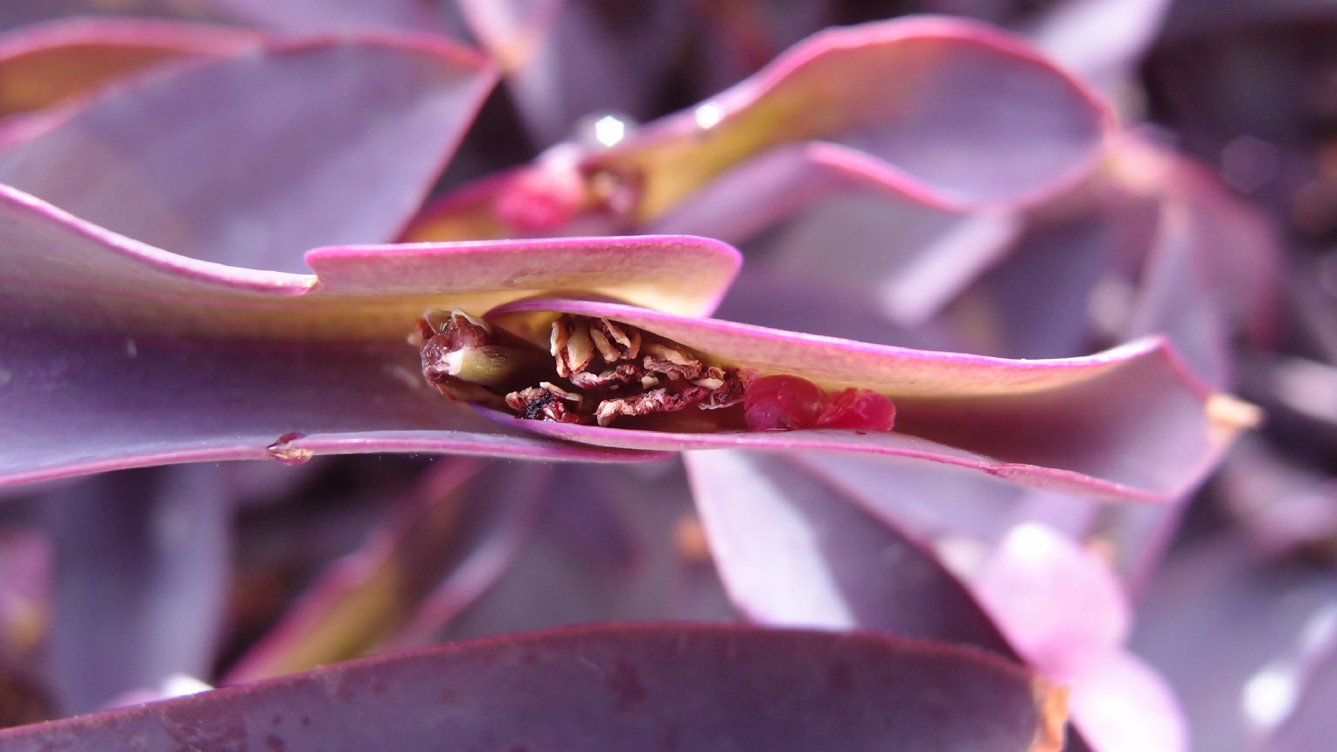 2022-04-17 Wind auf dem Meer (Audio, Foto, Video)