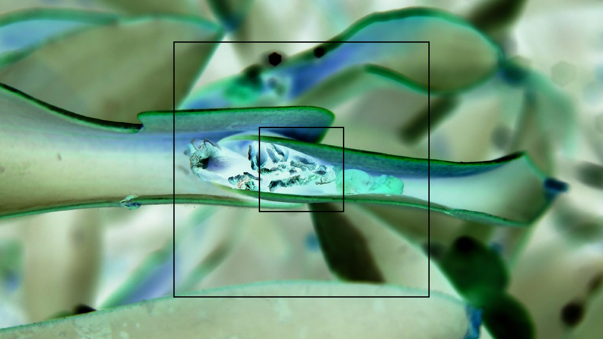 2022-04-17 Wind auf dem Meer (Audio, Foto, Video)