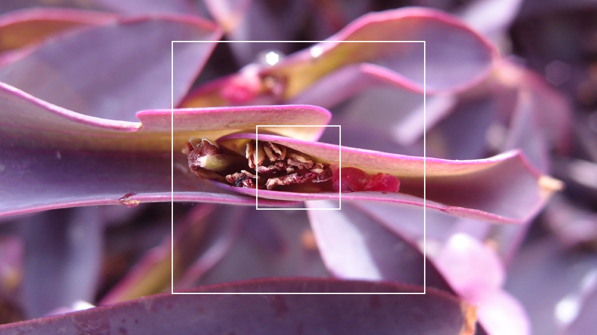 2022-04-17 Wind auf dem Meer (Audio, Foto, Video)