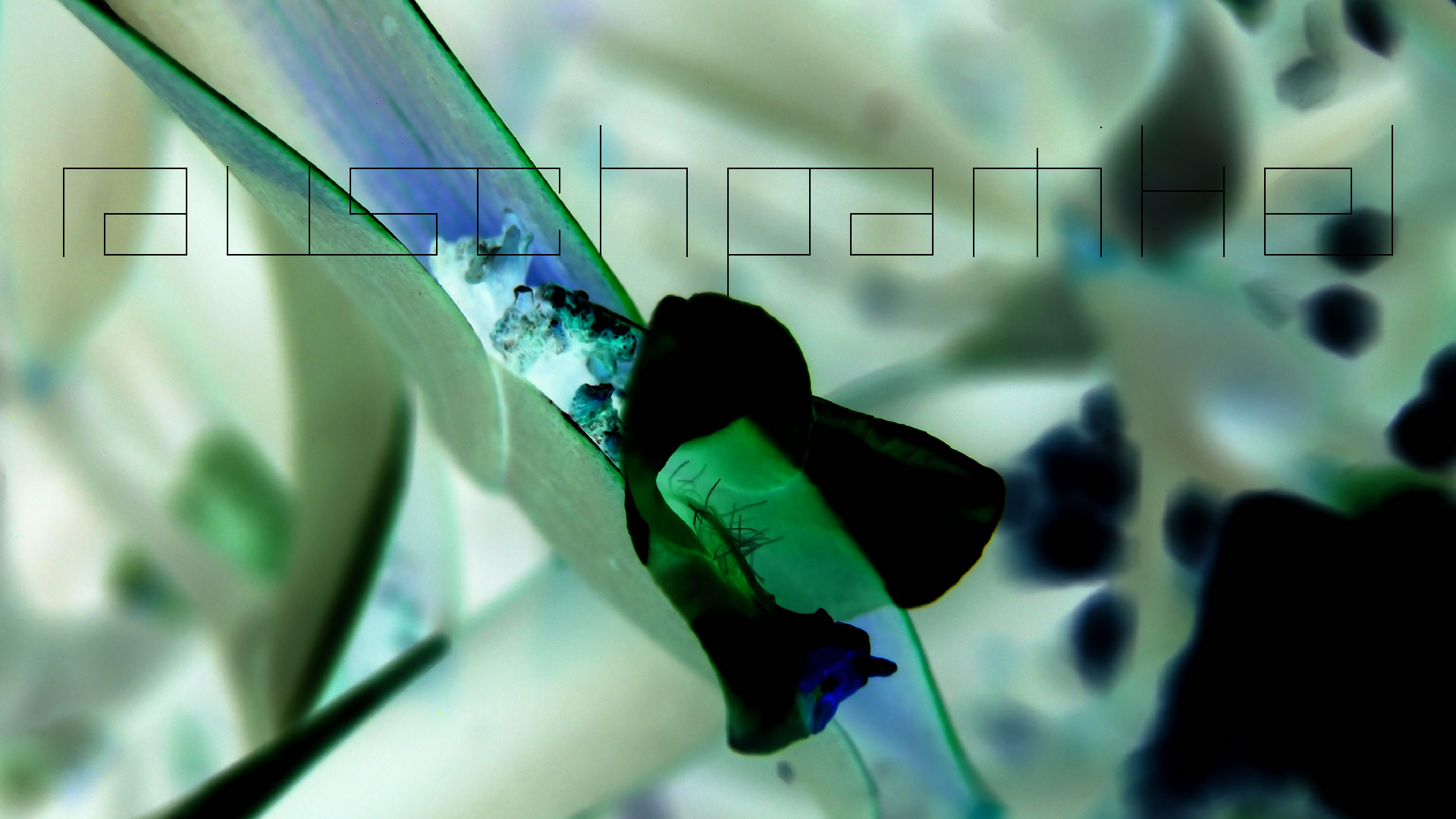 2022-04-17 Wind auf dem Meer (Audio, Foto, Video)