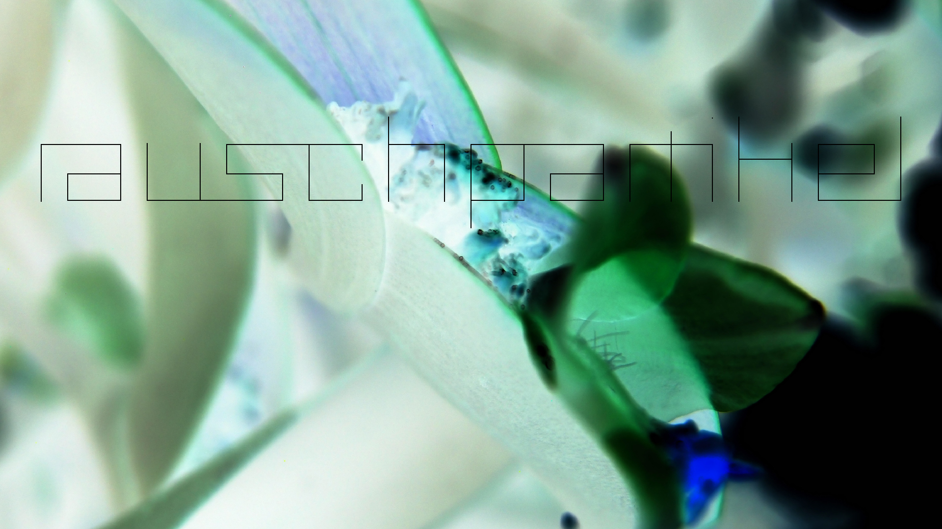 2022-04-17 Wind auf dem Meer (Audio, Foto, Video)