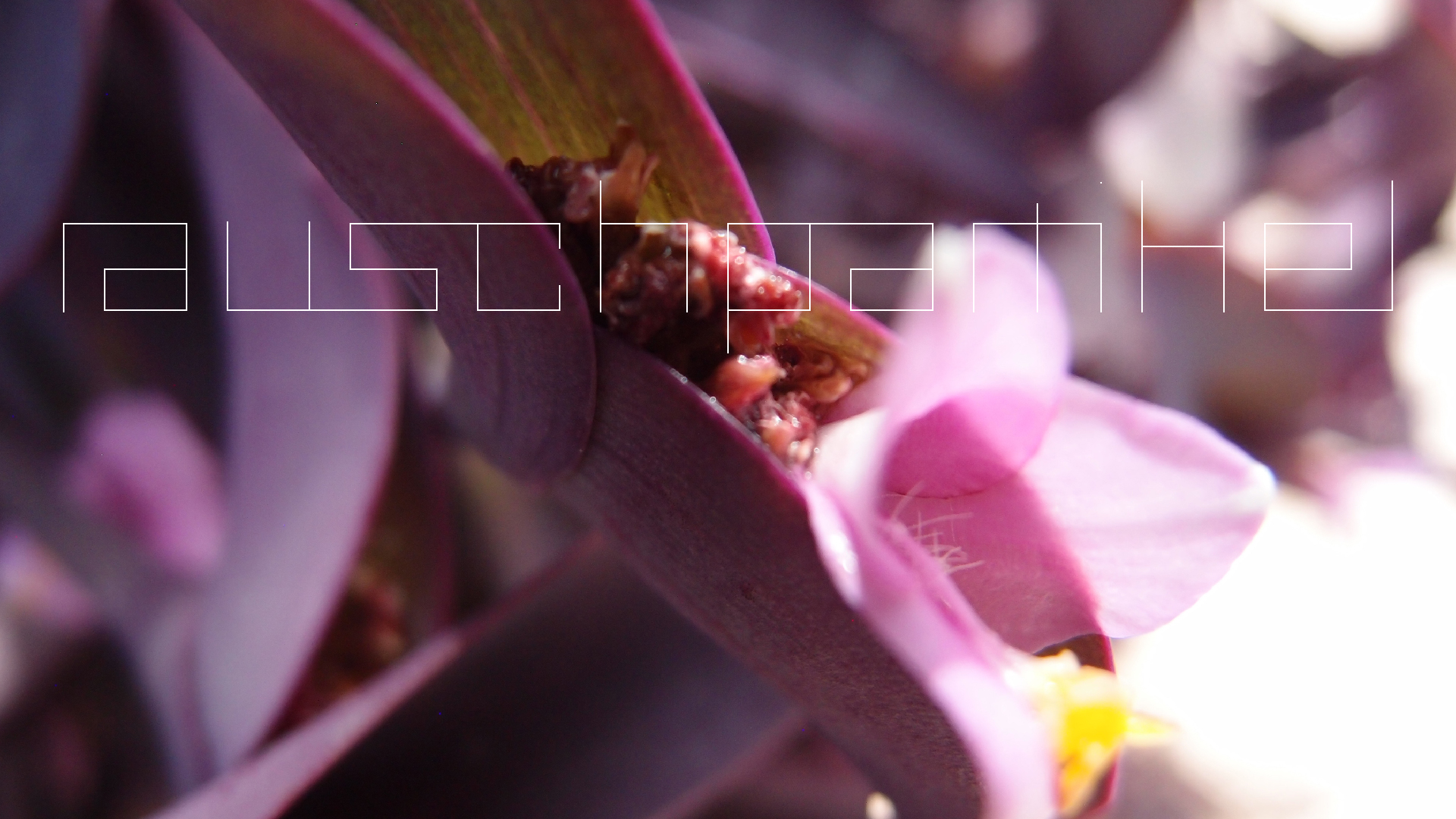 2022-04-17 Wind auf dem Meer (Audio, Foto, Video)