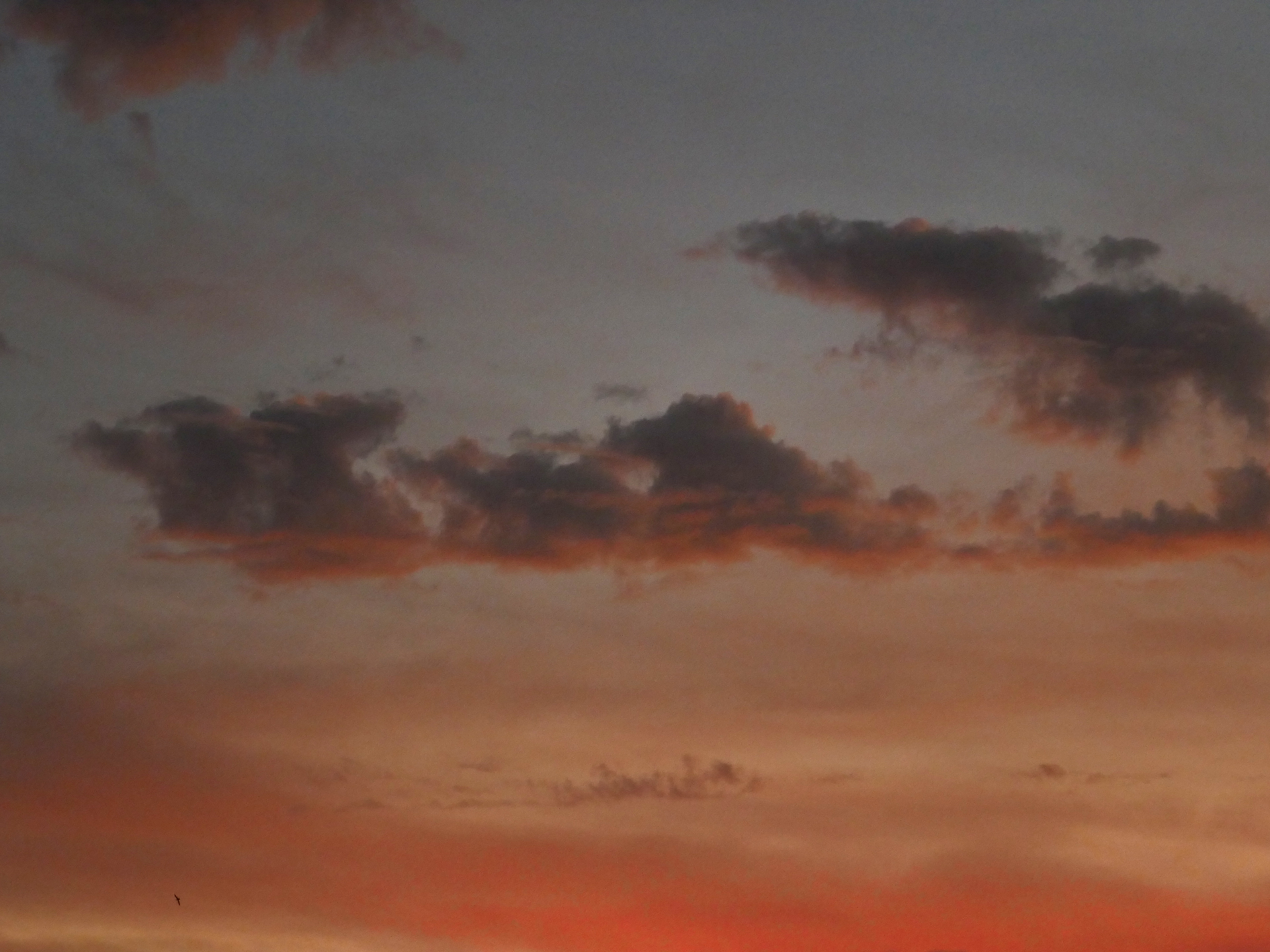 2022-04-17 Sonnenuntergang (Foto, Video)