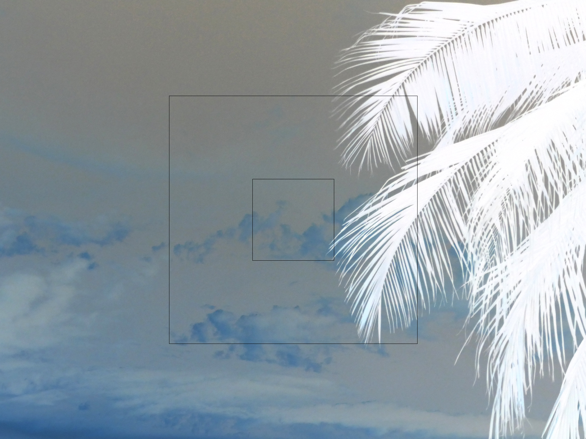 2022-04-17 Sonnenuntergang (Foto, Video)