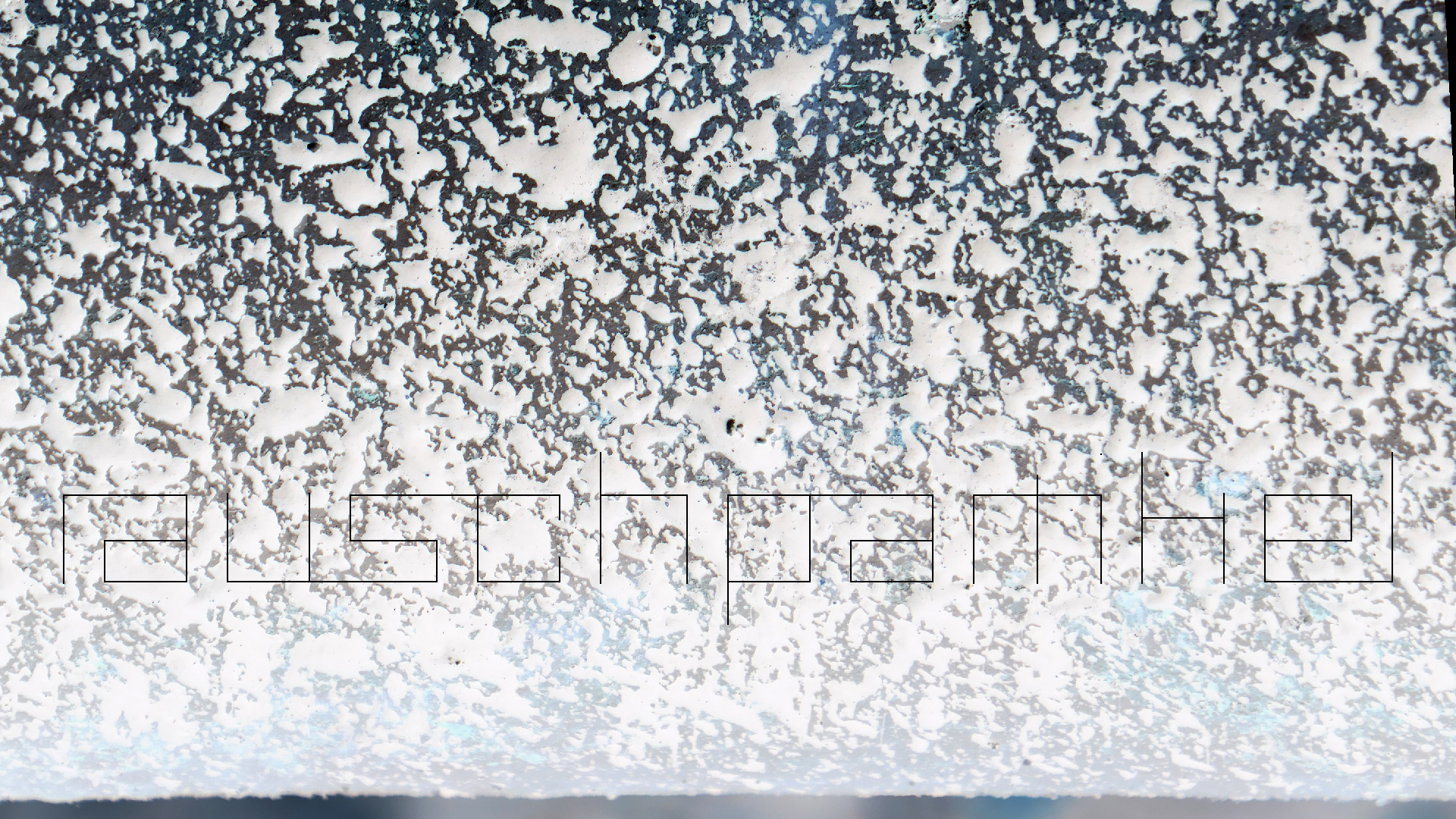 2022-04-18 Kokomo Beach und Flamingos (Foto)