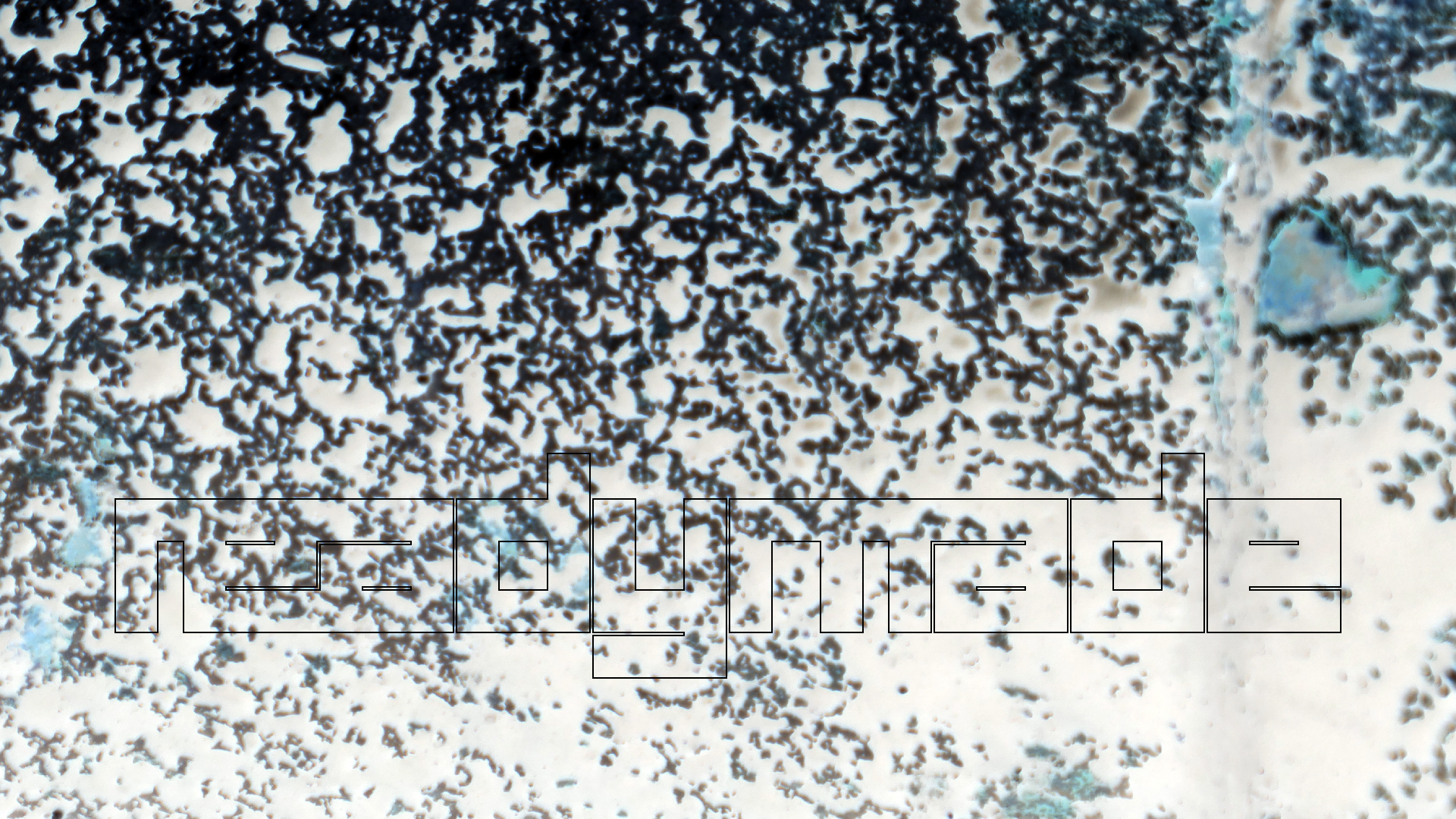 2022-04-18 Kokomo Beach und Flamingos (Foto)