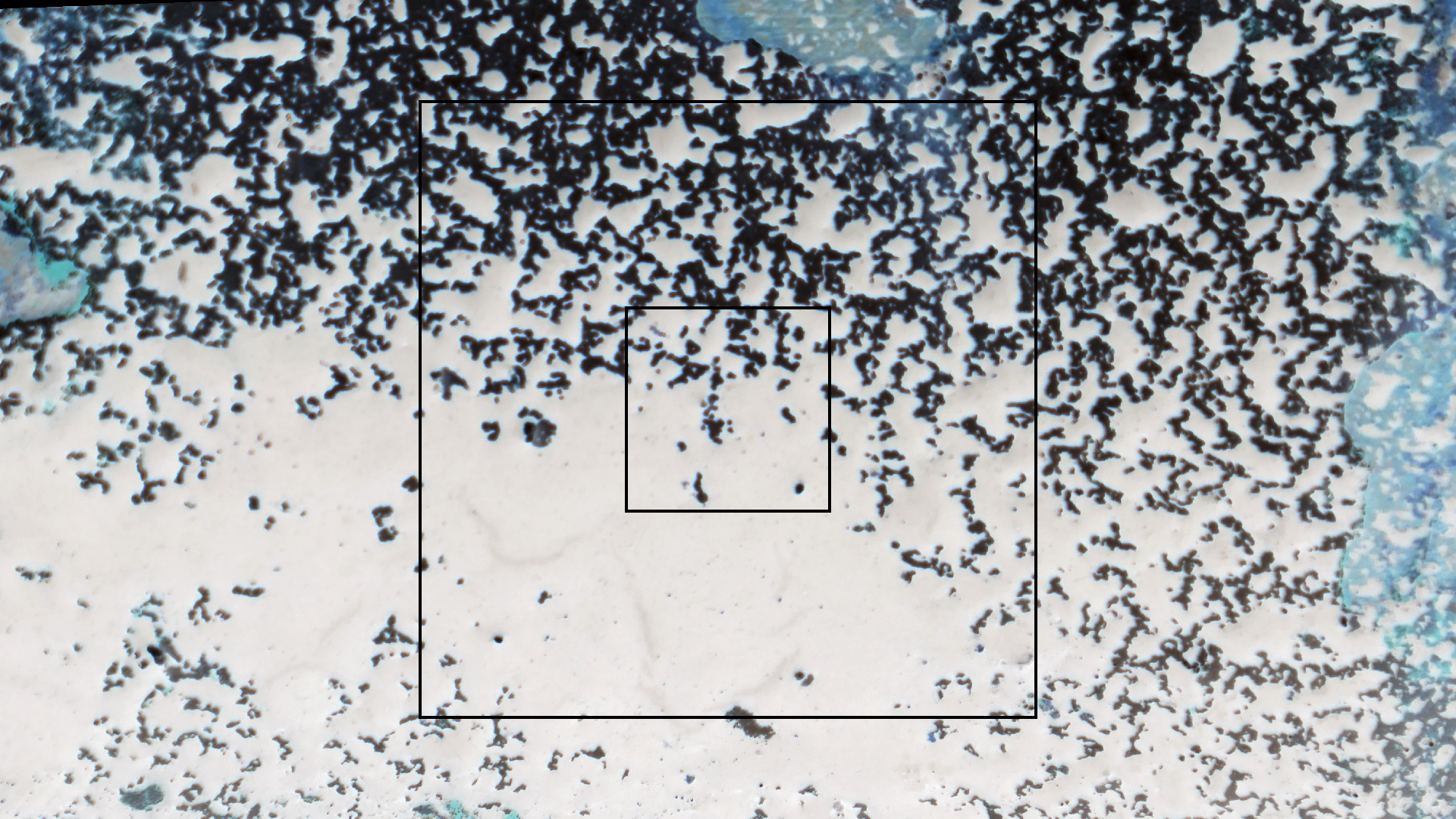 2022-04-18 Kokomo Beach und Flamingos (Foto)