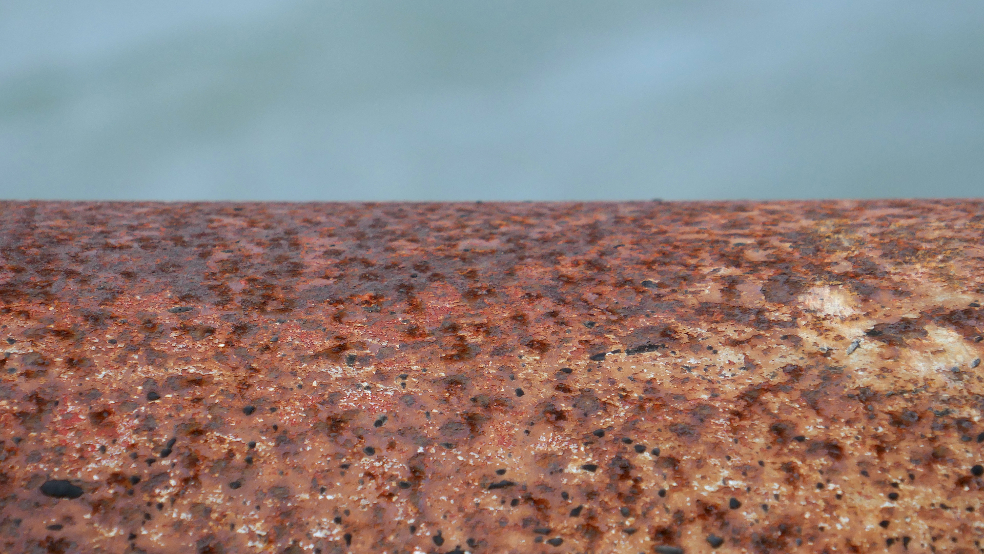 2022-04-18 Kokomo Beach und Flamingos (Foto)