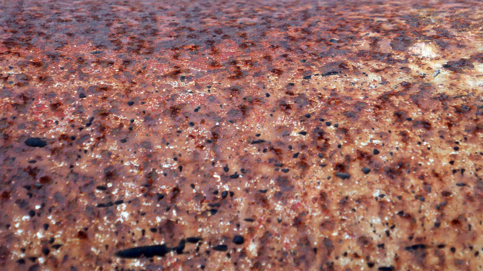 2022-04-18 Kokomo Beach und Flamingos (Foto)