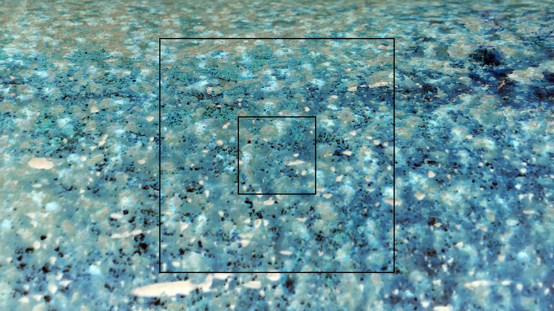 2022-04-18 Kokomo Beach und Flamingos (Foto)