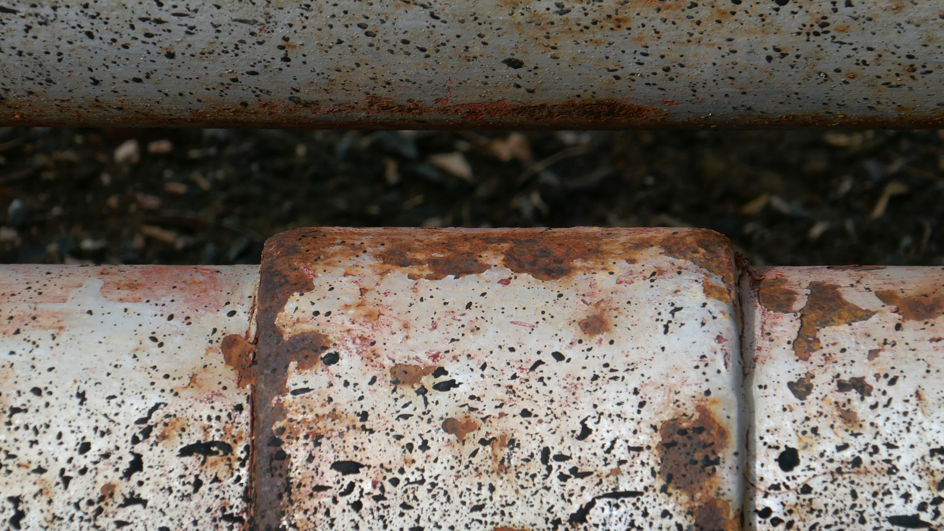 2022-04-18 Kokomo Beach und Flamingos (Foto)