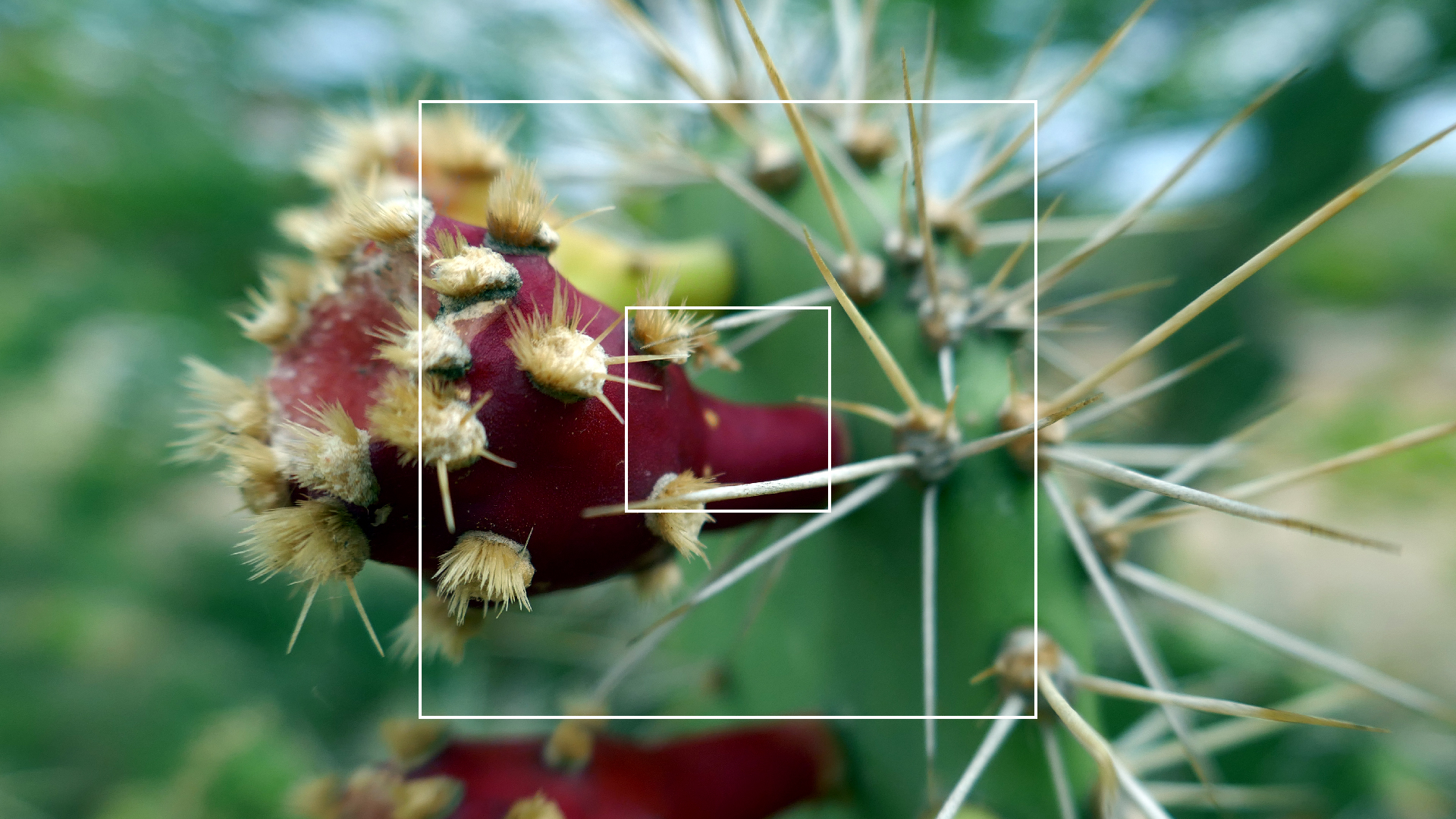 2022-04-18 Kokomo Beach und Flamingos (Foto)