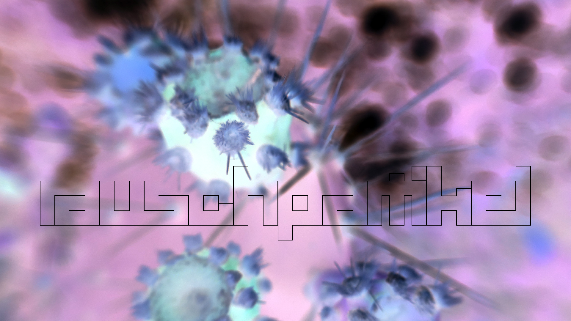 2022-04-18 Kokomo Beach und Flamingos (Foto)