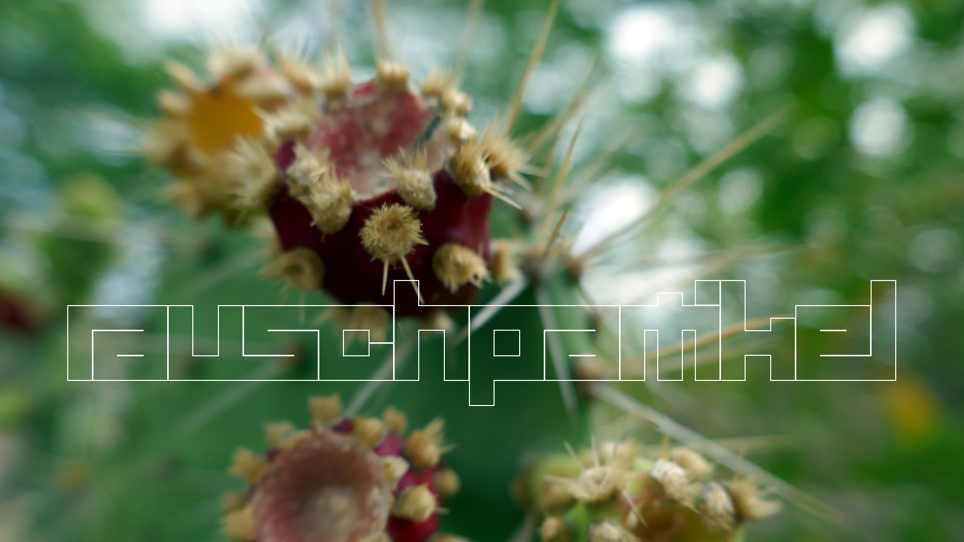 2022-04-18 Kokomo Beach und Flamingos (Foto)