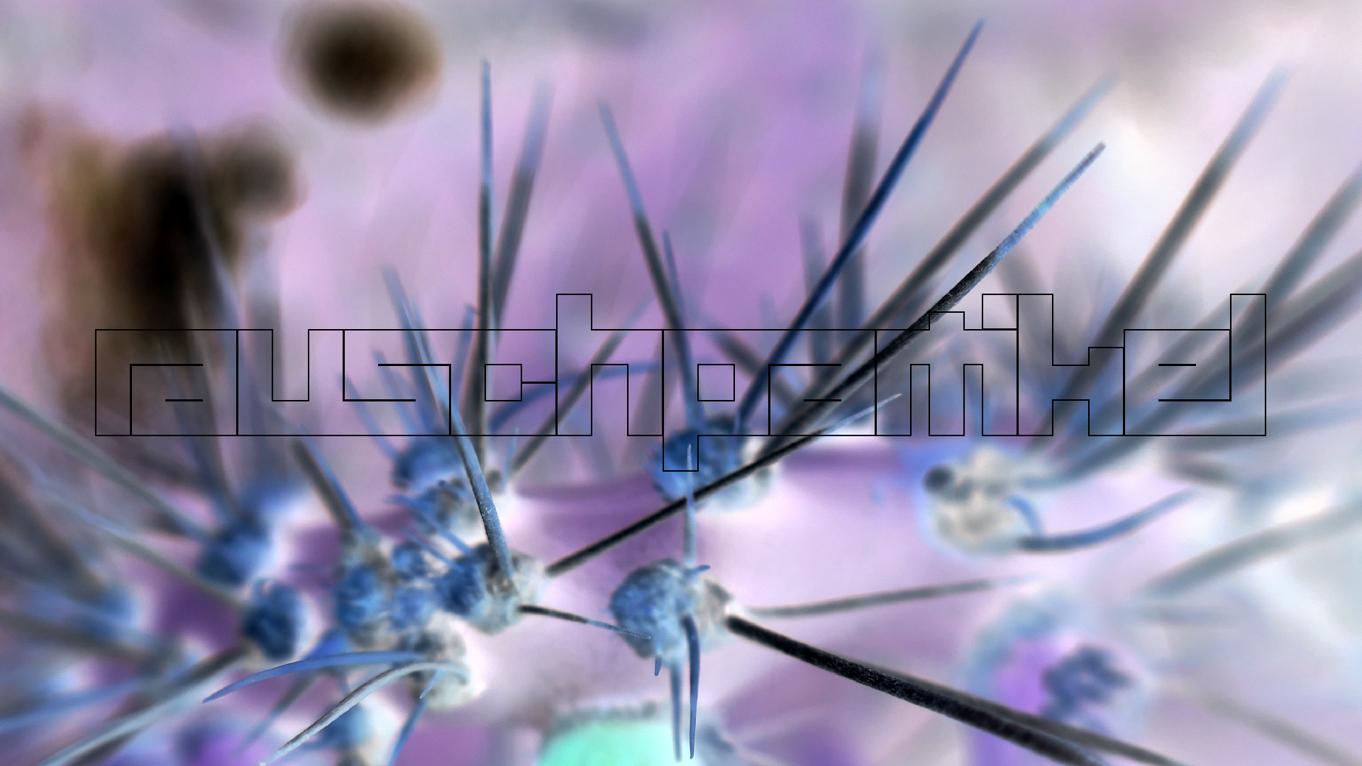 2022-04-18 Kokomo Beach und Flamingos (Foto)