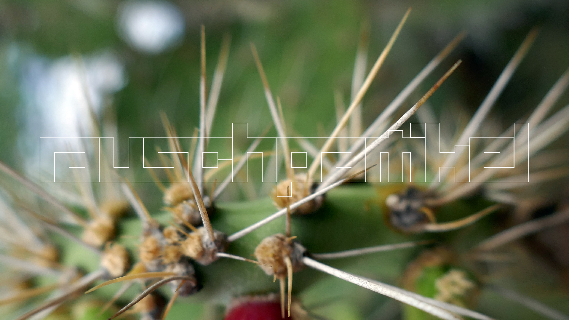 2022-04-18 Kokomo Beach und Flamingos (Foto)