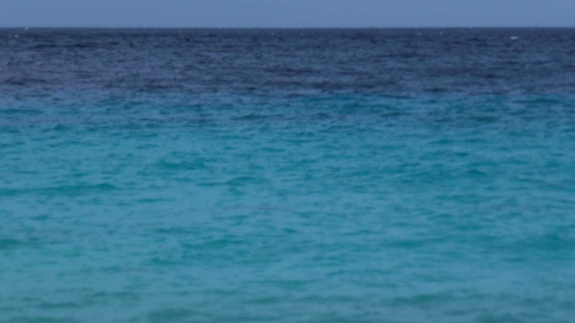 2022-04-18 Kokomo Beach und Flamingos (Foto)