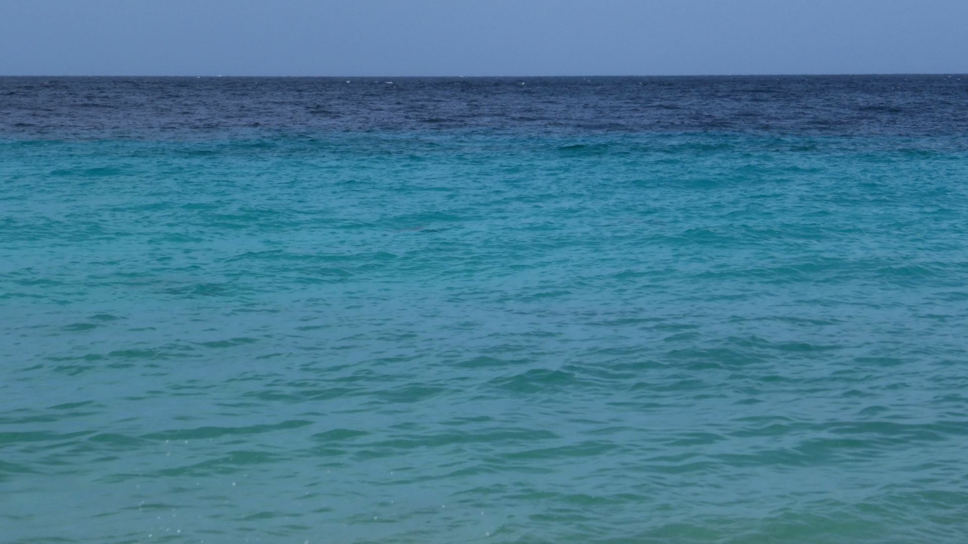 2022-04-18 Kokomo Beach und Flamingos (Foto)