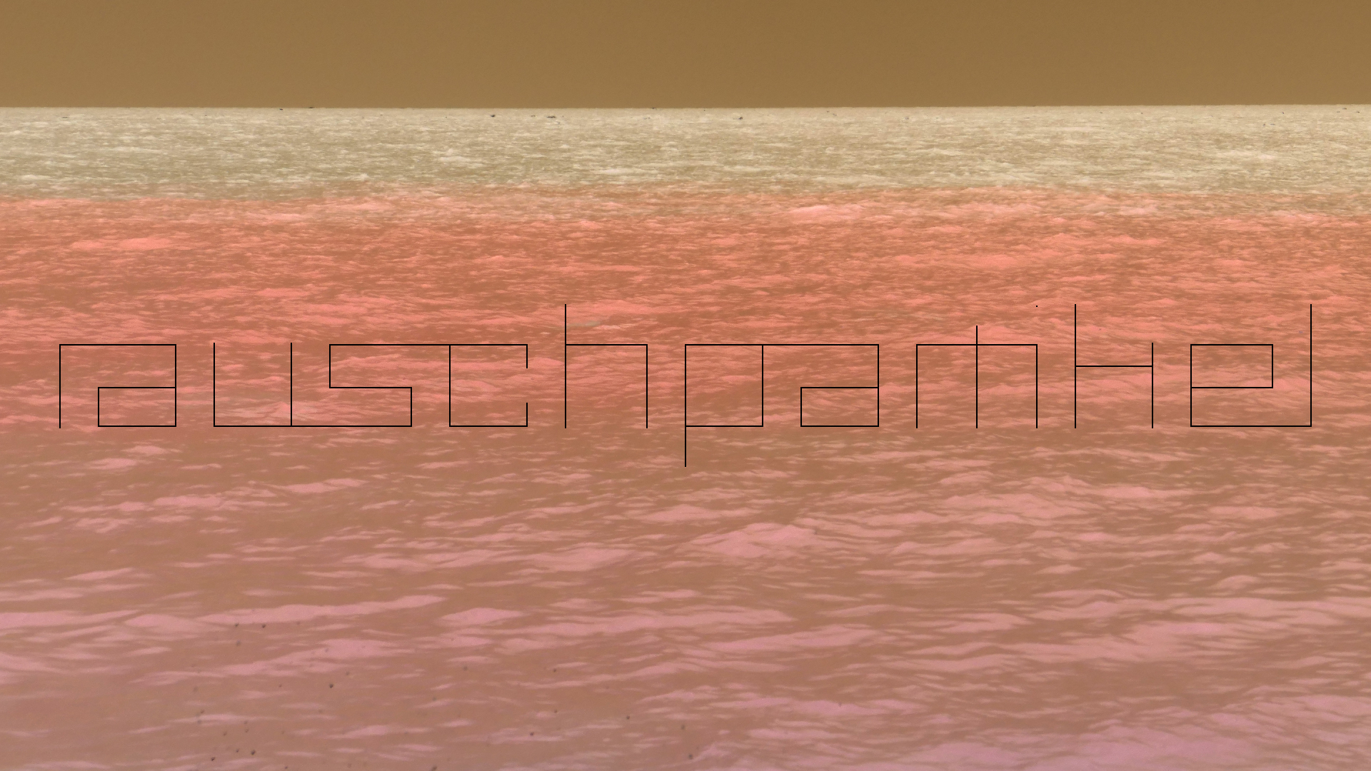 2022-04-18 Kokomo Beach und Flamingos (Foto)