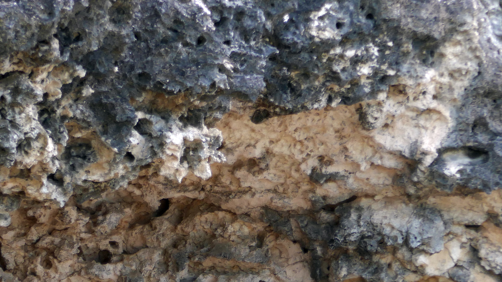 2022-04-18 Kokomo Beach und Flamingos (Foto)