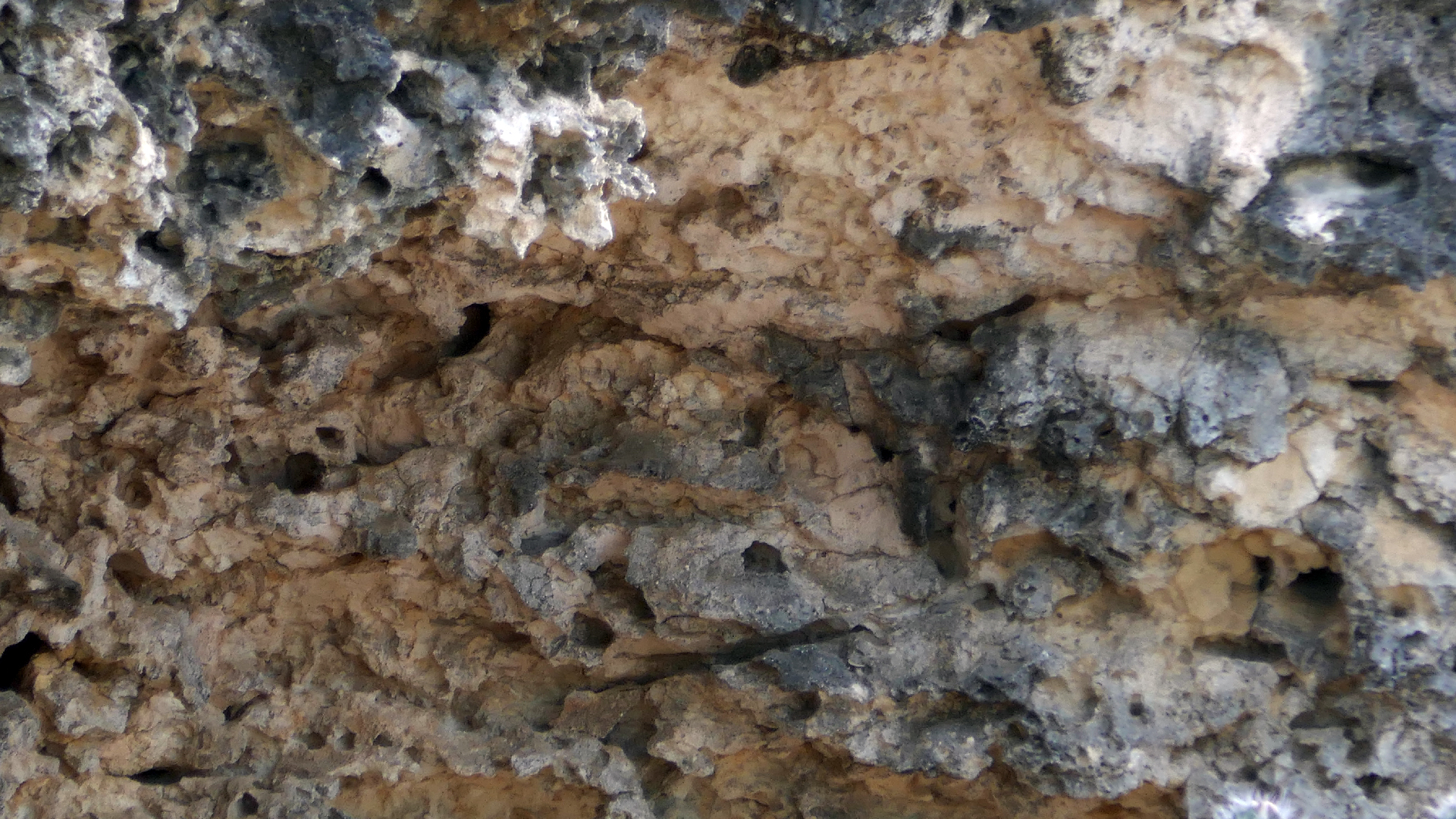 2022-04-18 Kokomo Beach und Flamingos (Foto)