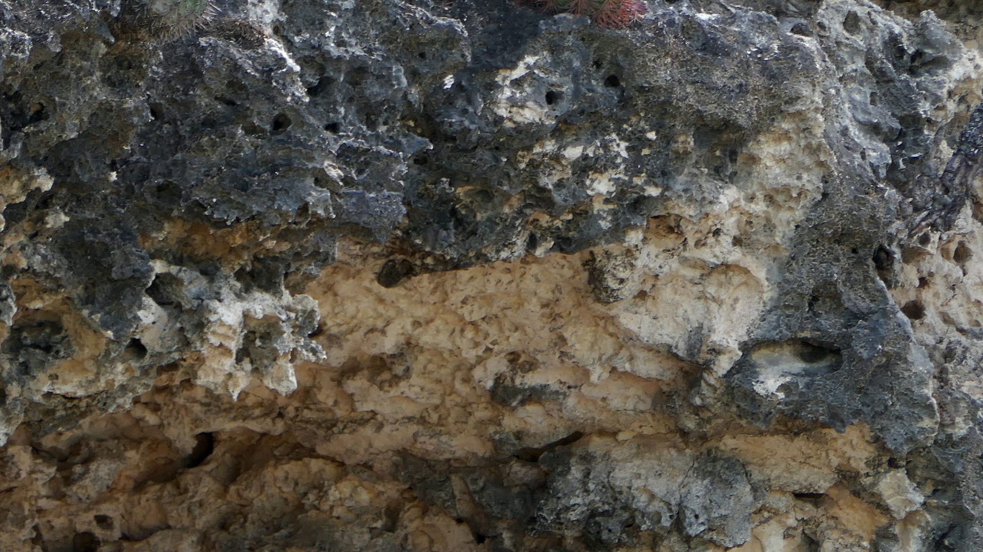 2022-04-18 Kokomo Beach und Flamingos (Foto)