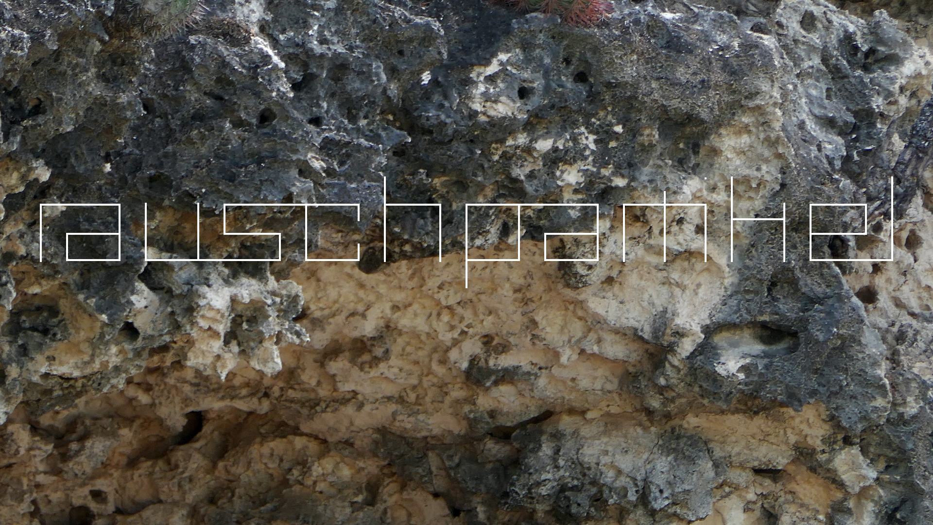 2022-04-18 Kokomo Beach und Flamingos (Foto)