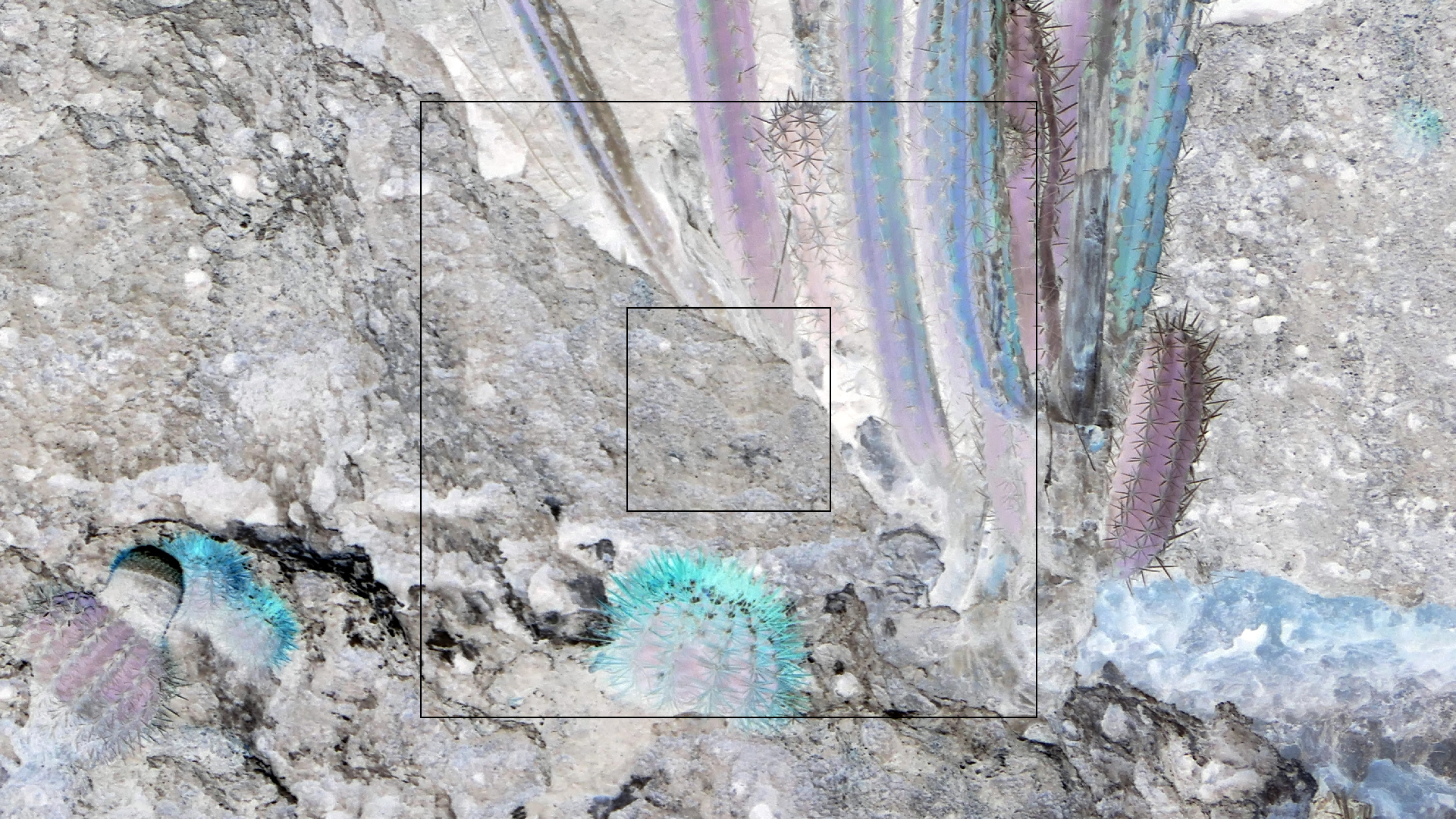 2022-04-18 Kokomo Beach und Flamingos (Foto)