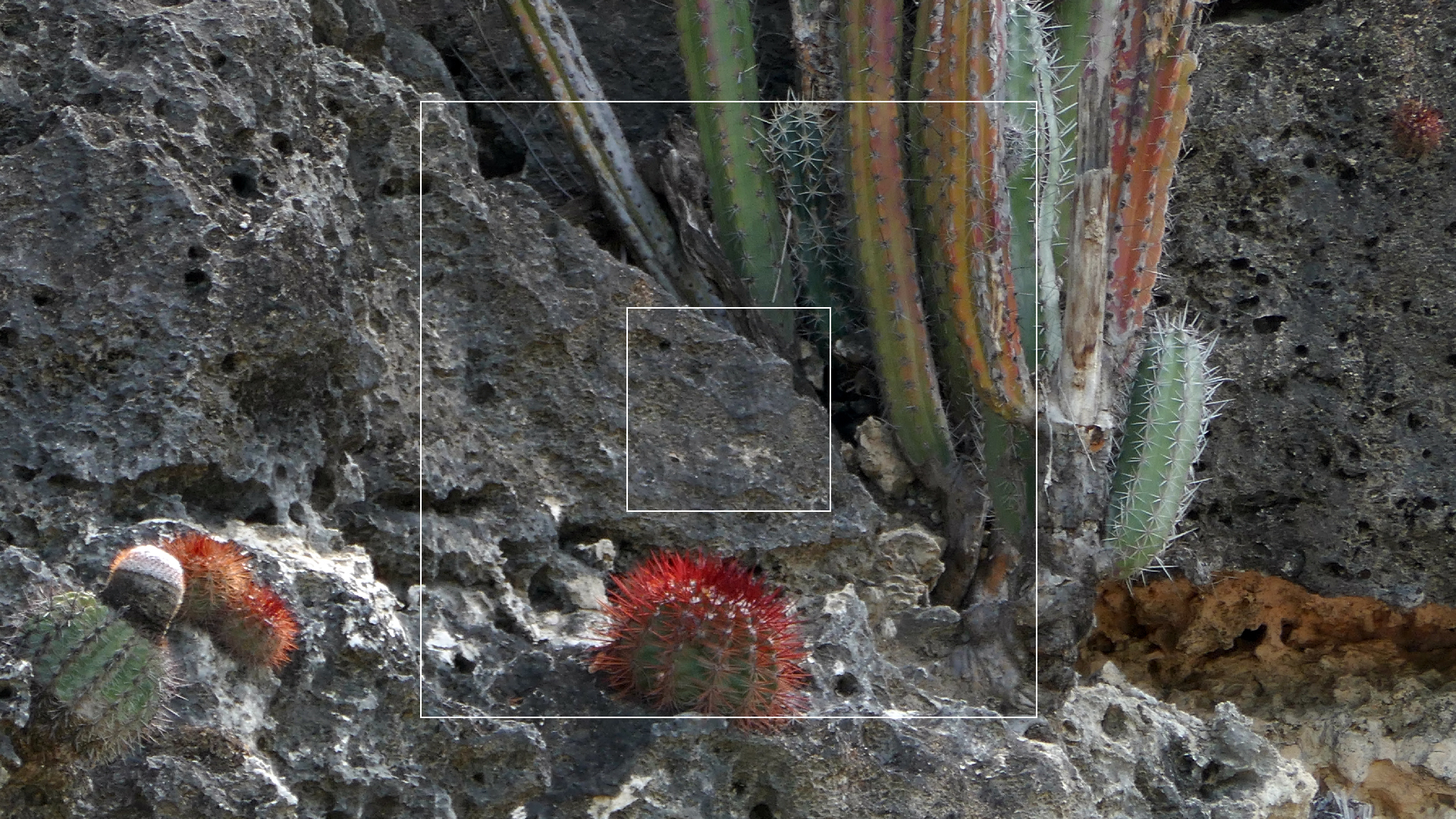 2022-04-18 Kokomo Beach und Flamingos (Foto)