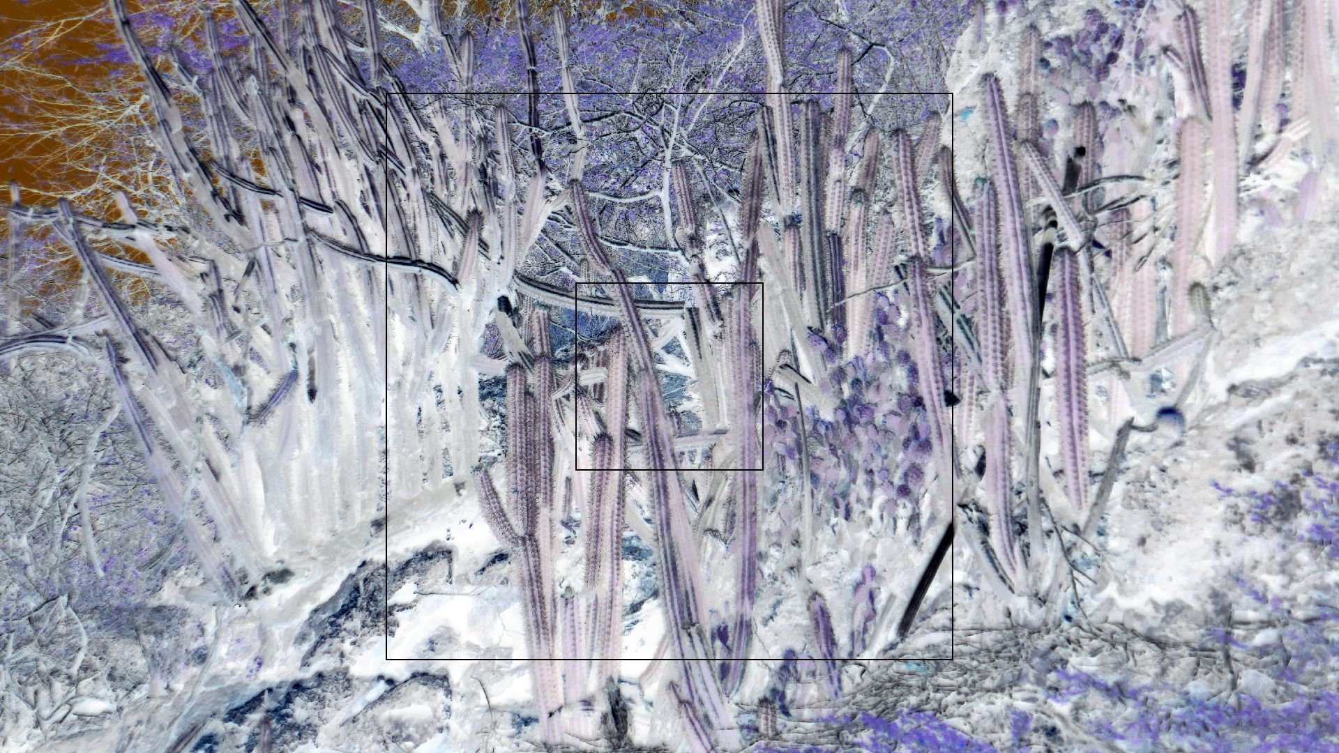 2022-04-18 Kokomo Beach und Flamingos (Foto)