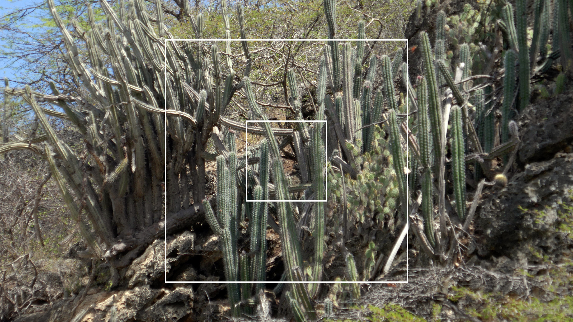 2022-04-18 Kokomo Beach und Flamingos (Foto)