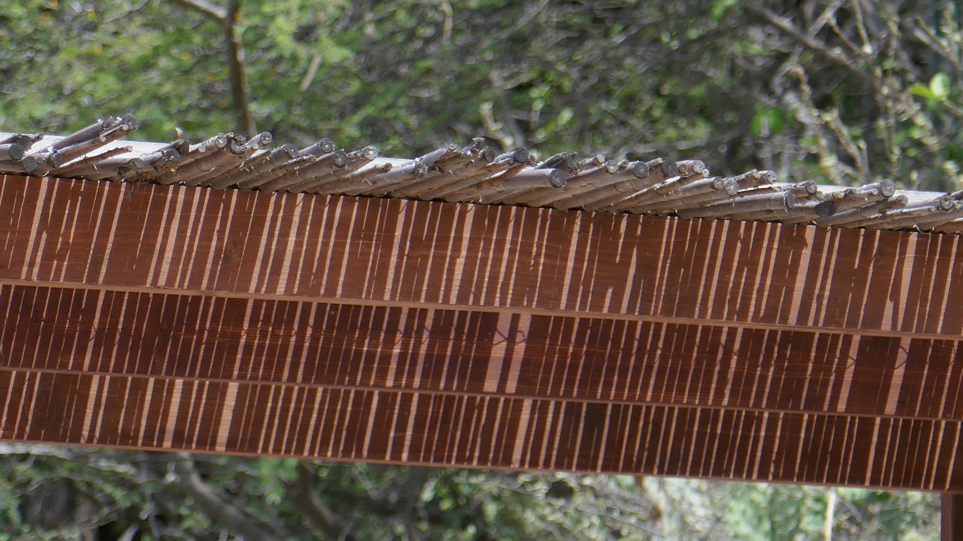 2022-04-18 Kokomo Beach und Flamingos (Foto)