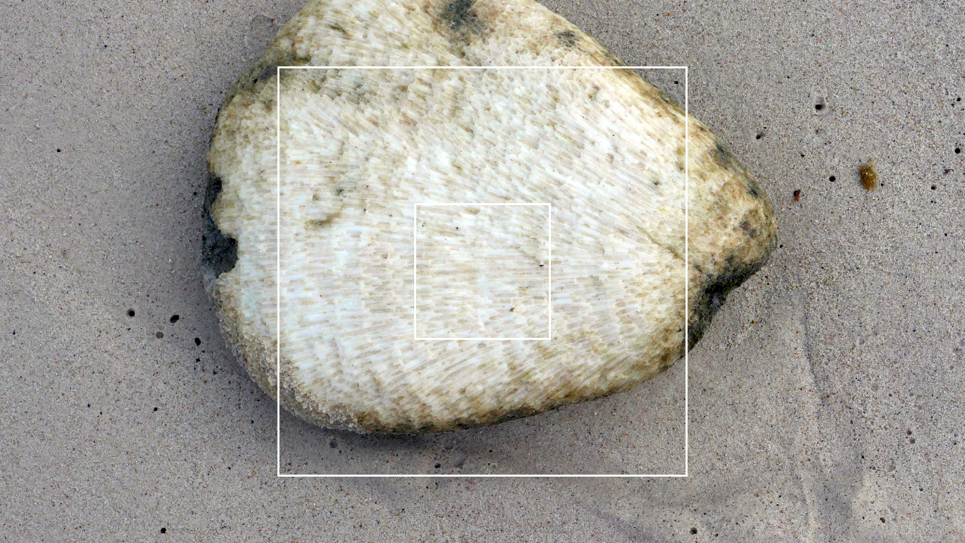 2022-04-19 Playa Porto Mari (Foto)