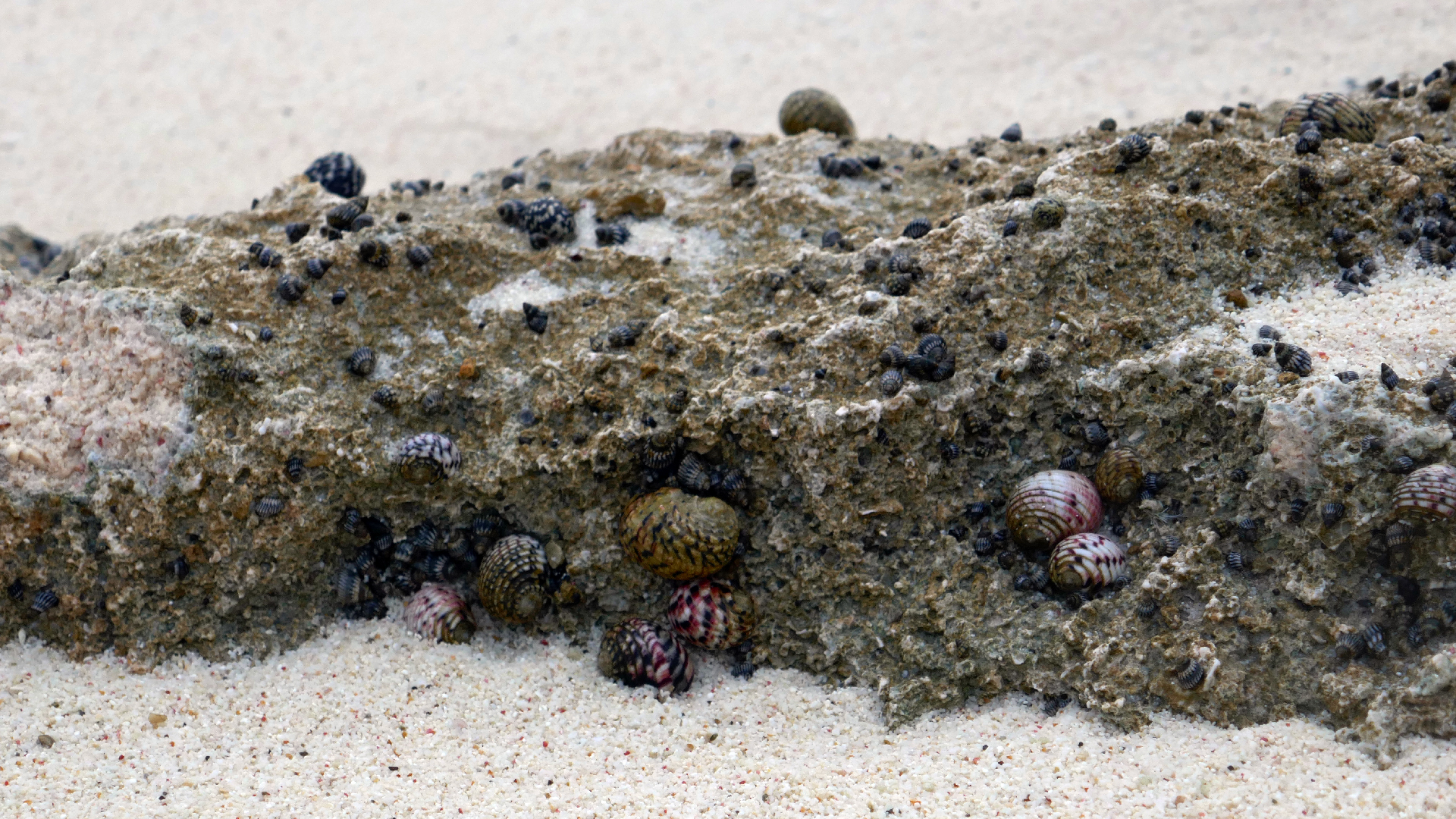 2022-04-19 Playa Porto Mari (Foto)