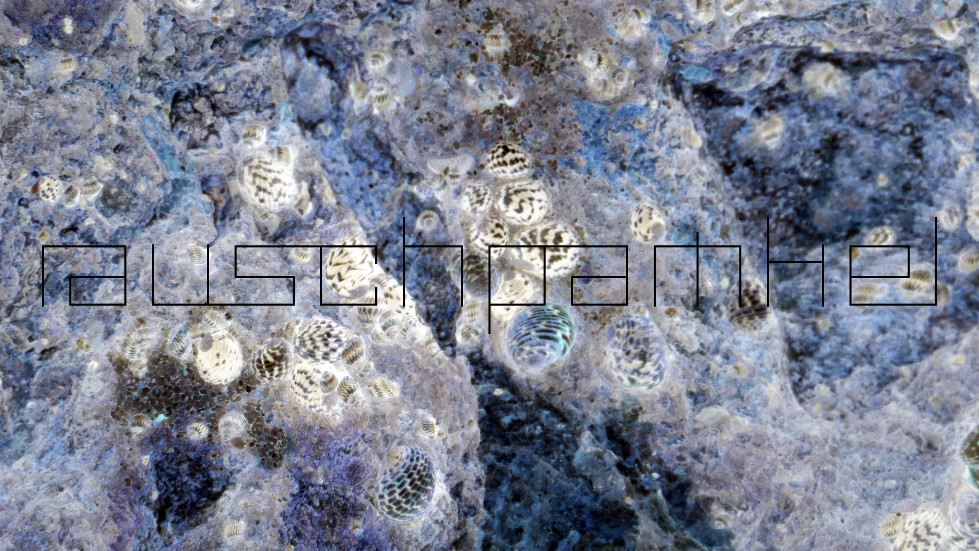 2022-04-19 Playa Porto Mari (Foto)