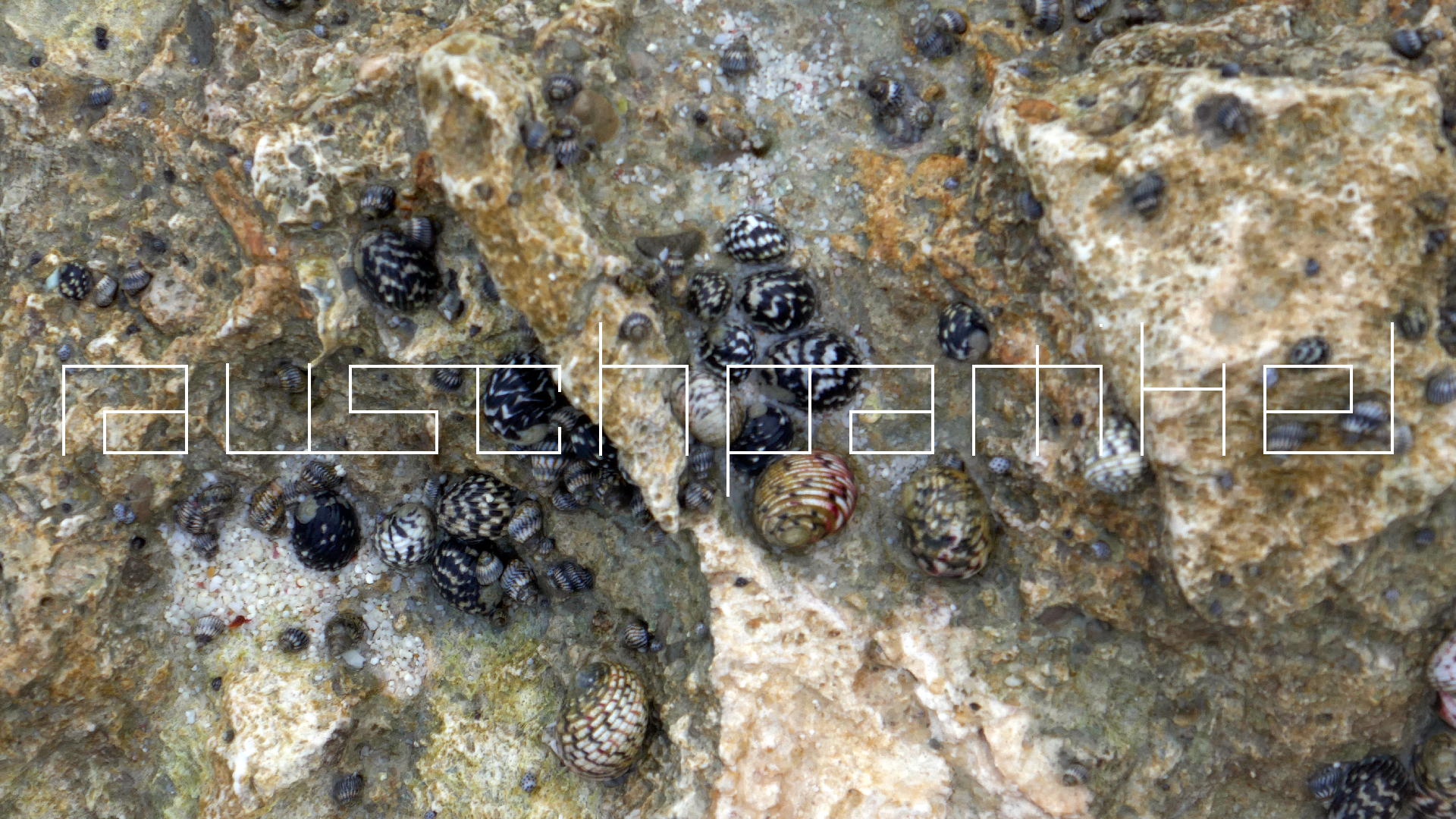 2022-04-19 Playa Porto Mari (Foto)