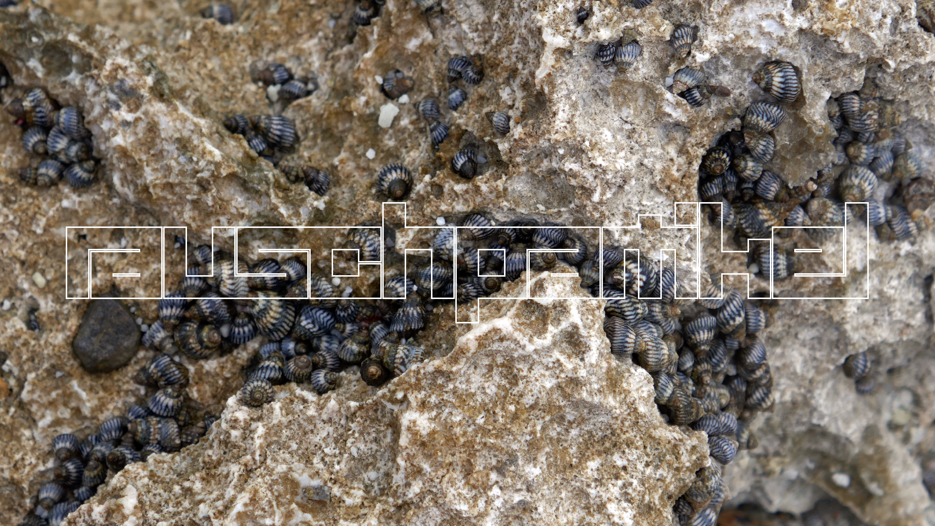 2022-04-19 Playa Porto Mari (Foto)