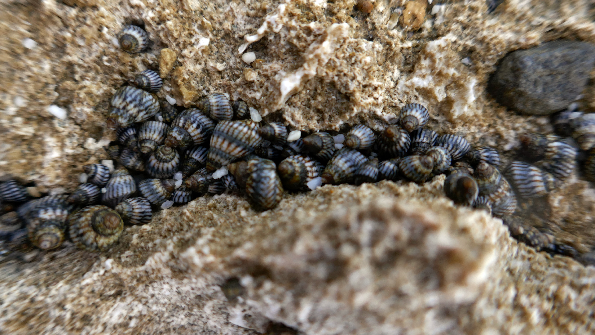 2022-04-19 Playa Porto Mari (Foto)