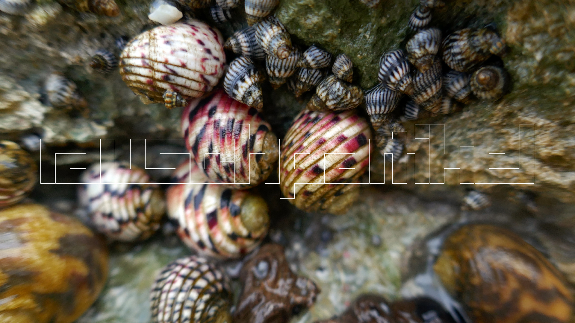 2022-04-19 Playa Porto Mari (Foto)