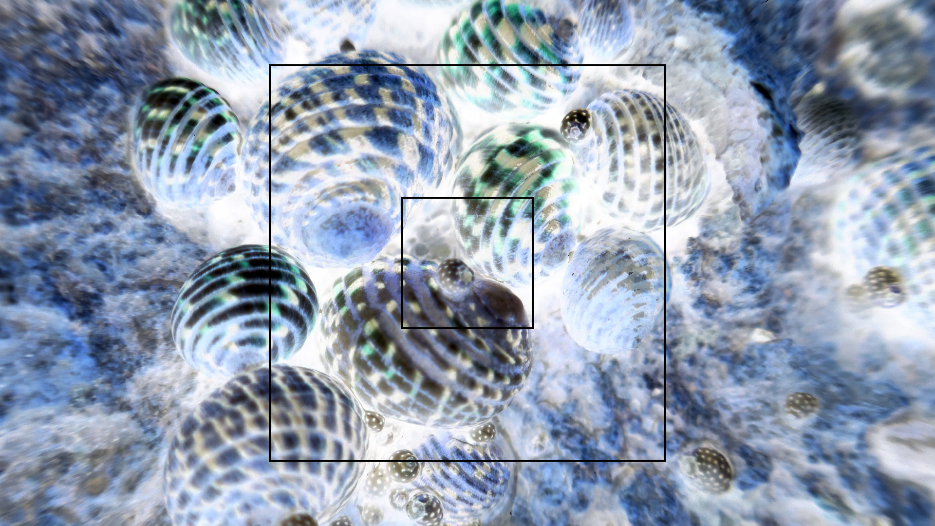 2022-04-19 Playa Porto Mari (Foto)