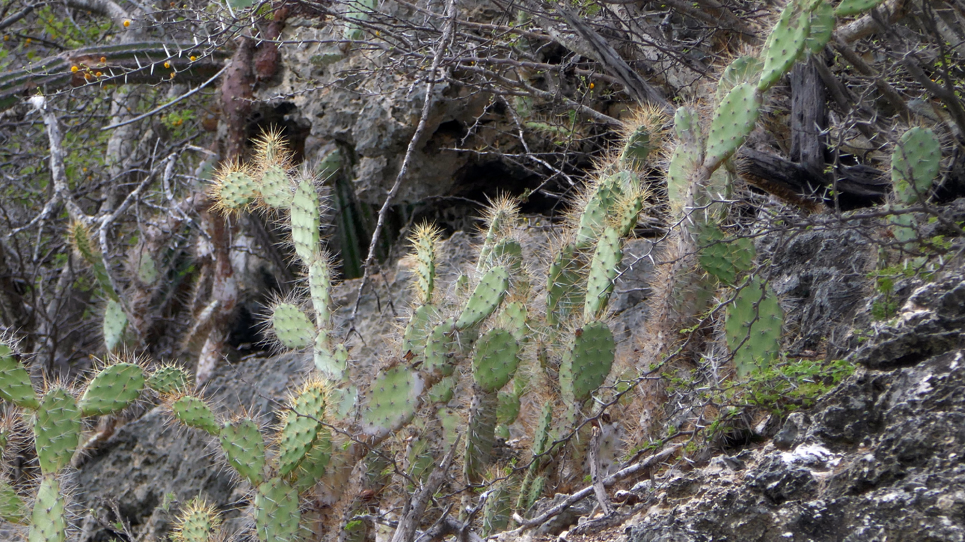2022-04-19 Playa Porto Mari (Foto)