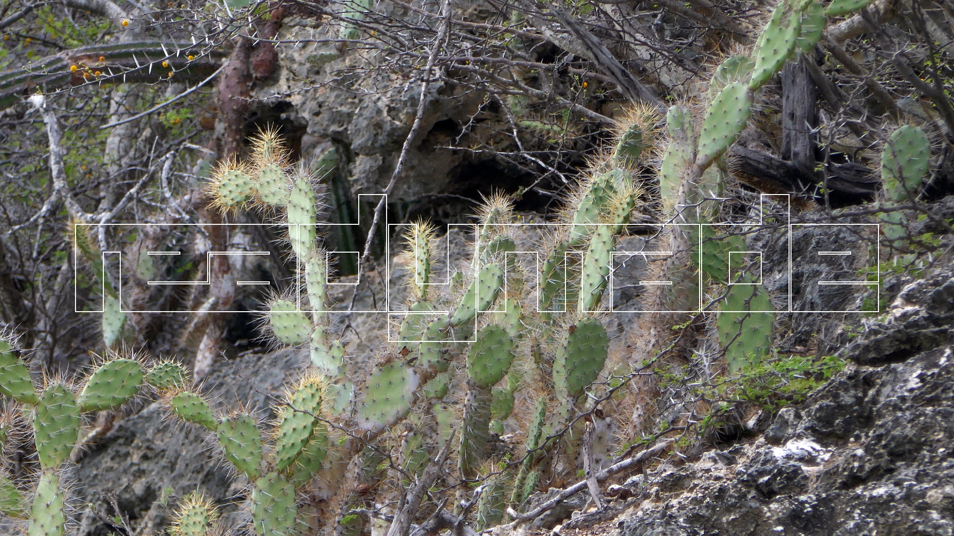 2022-04-19 Playa Porto Mari (Foto)