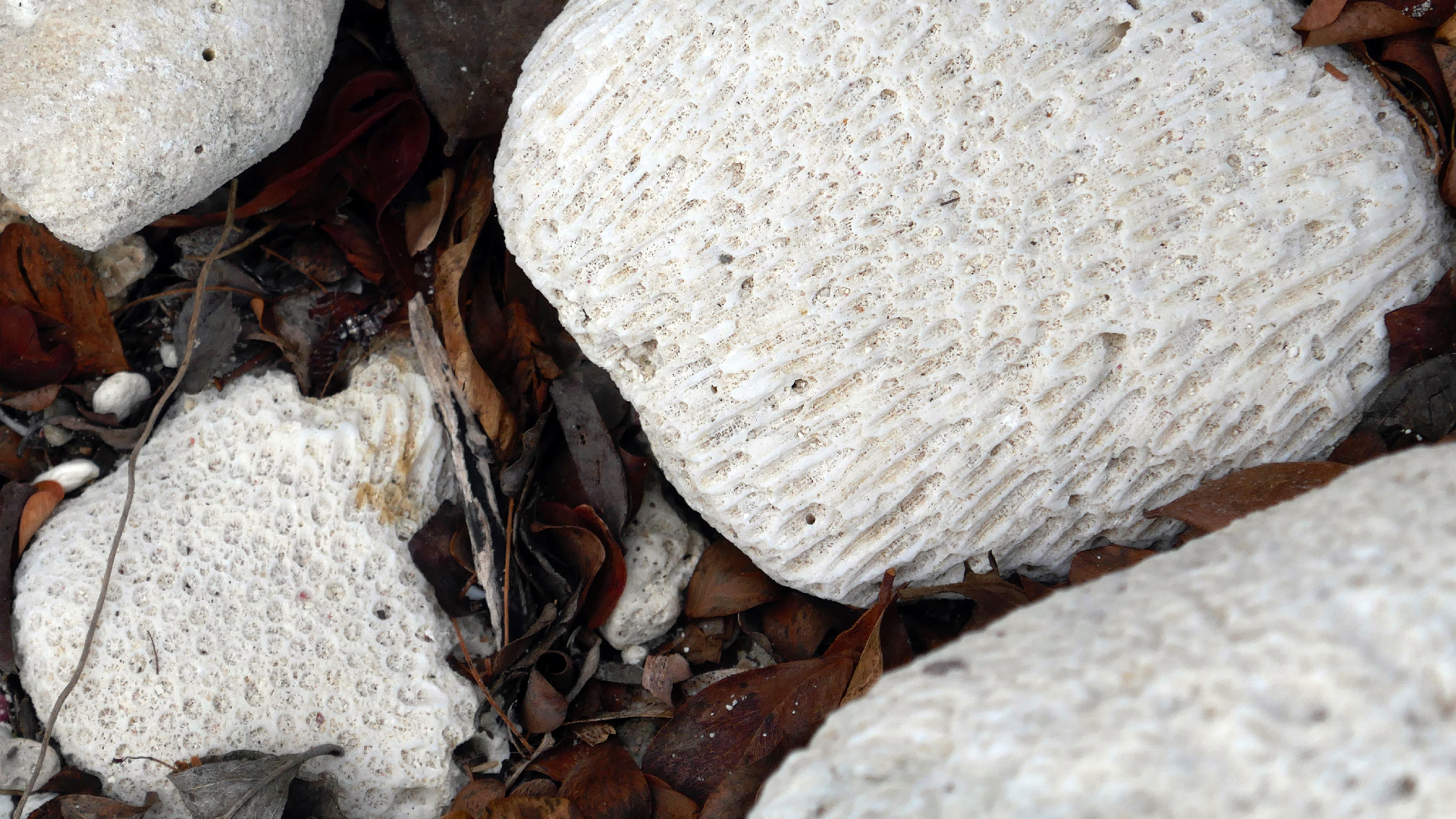 2022-04-19 Playa Porto Mari (Foto)