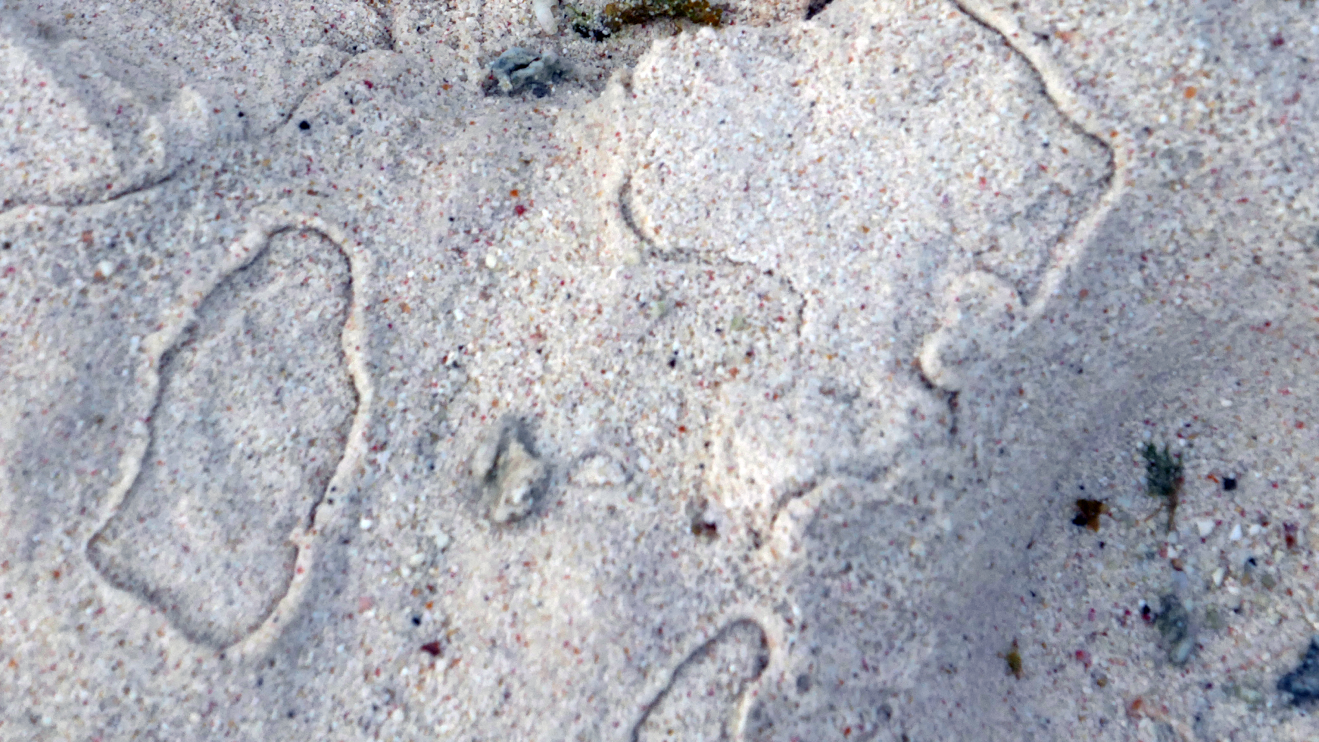 2022-04-19 Playa Porto Mari (Foto)