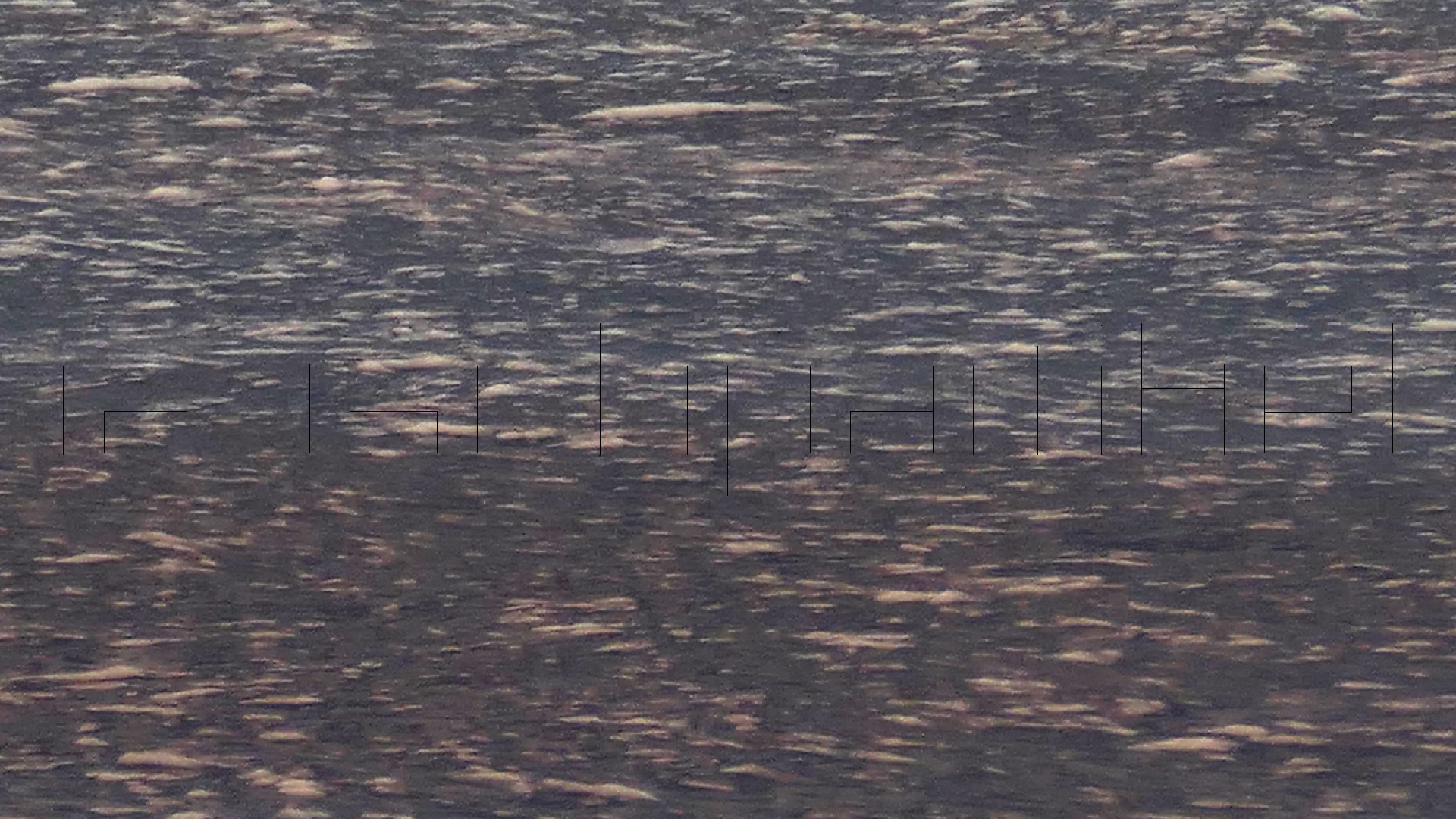 2022-04-19 Playa Porto Mari (Foto)