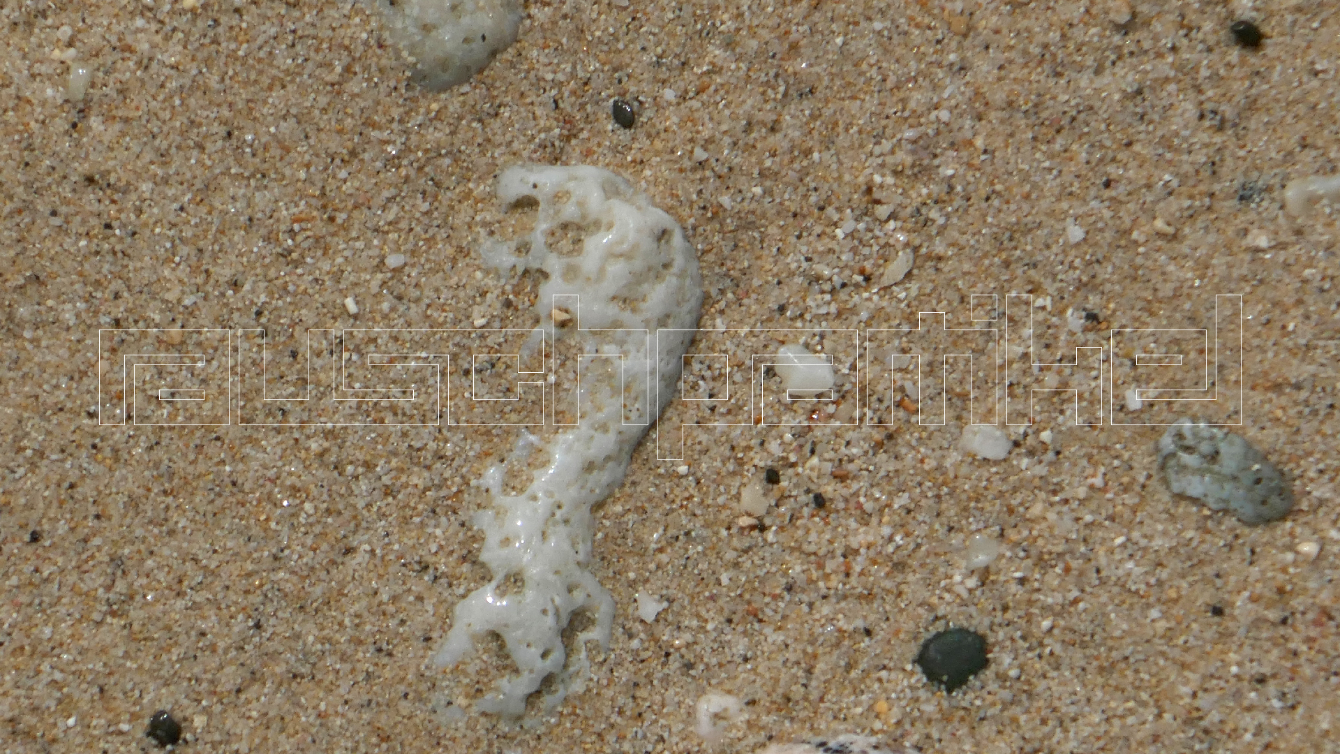 2022-04-20 Playa Forti & Playa Jeremi (Foto)