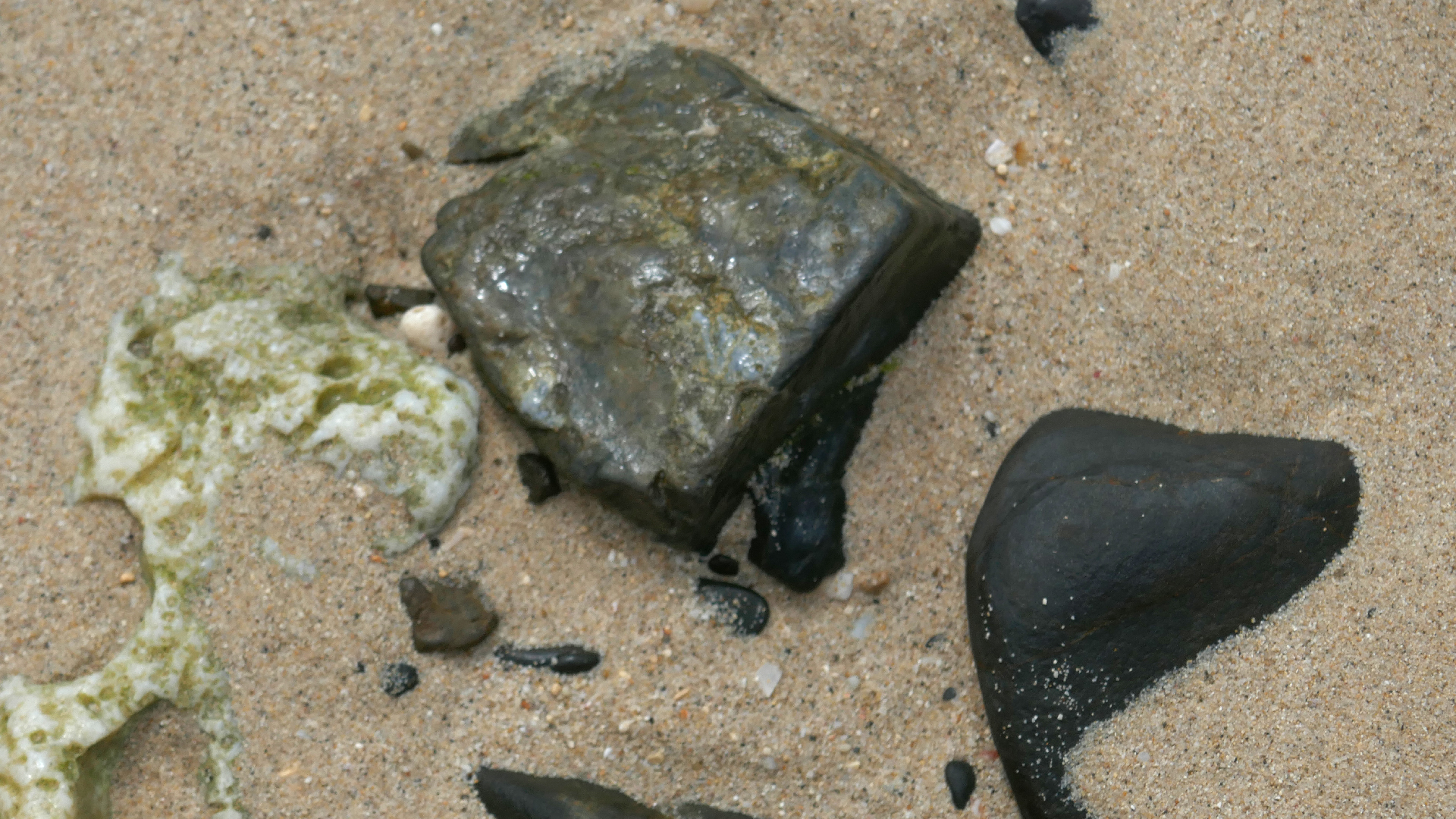 2022-04-20 Playa Forti & Playa Jeremi (Foto)