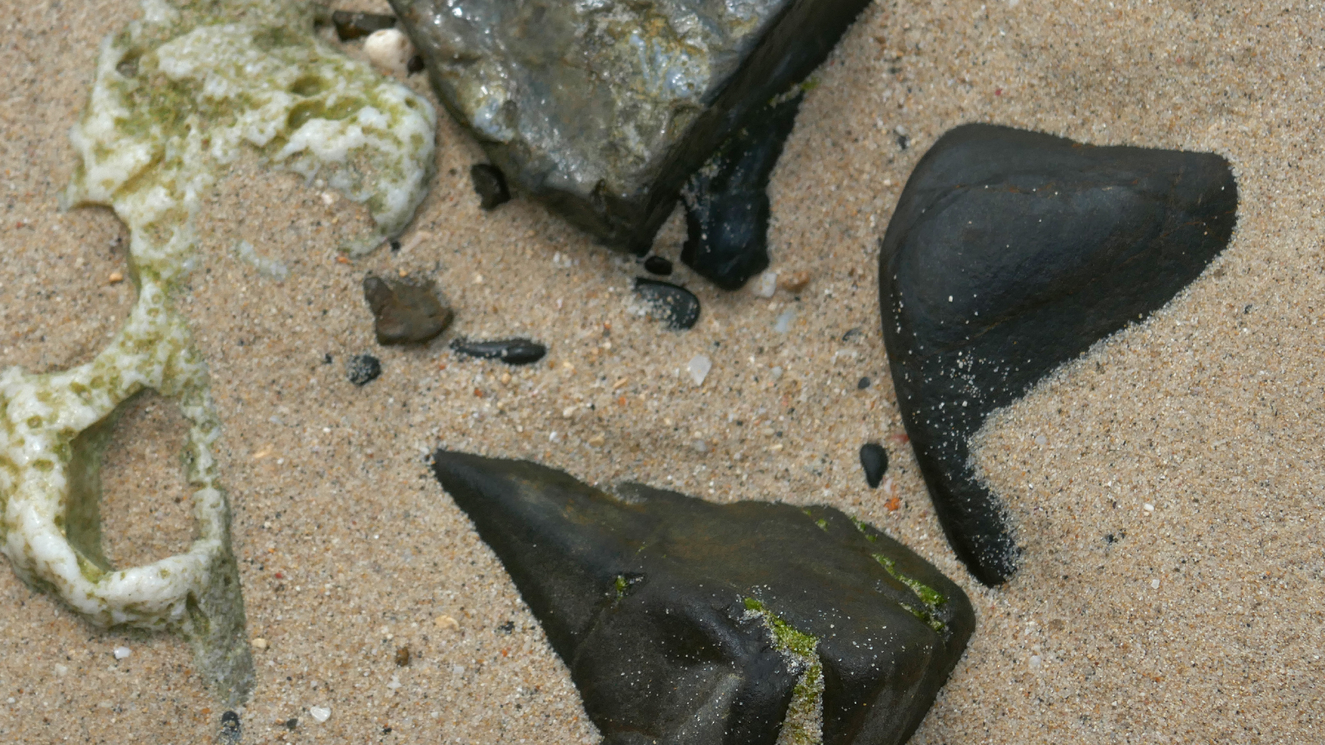 2022-04-20 Playa Forti & Playa Jeremi (Foto)