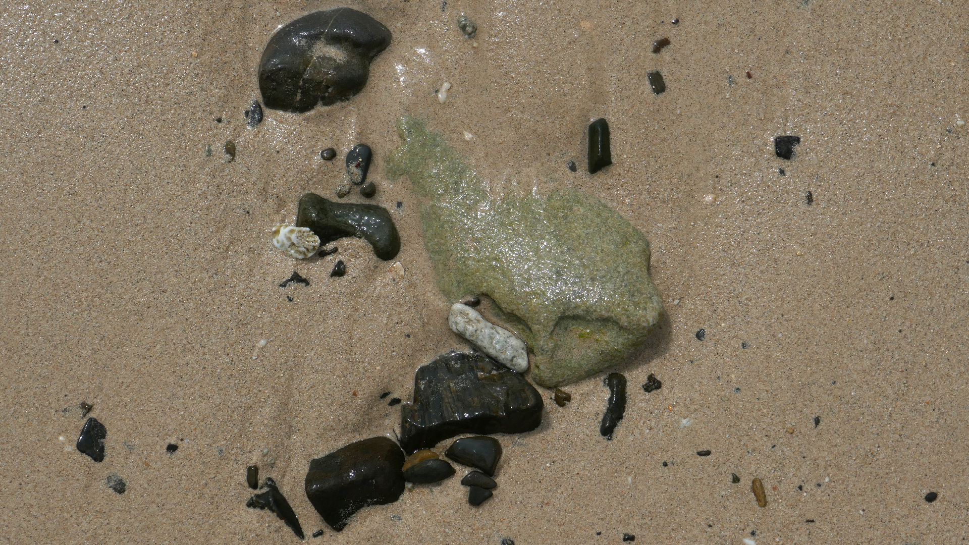 2022-04-20 Playa Forti & Playa Jeremi (Foto)